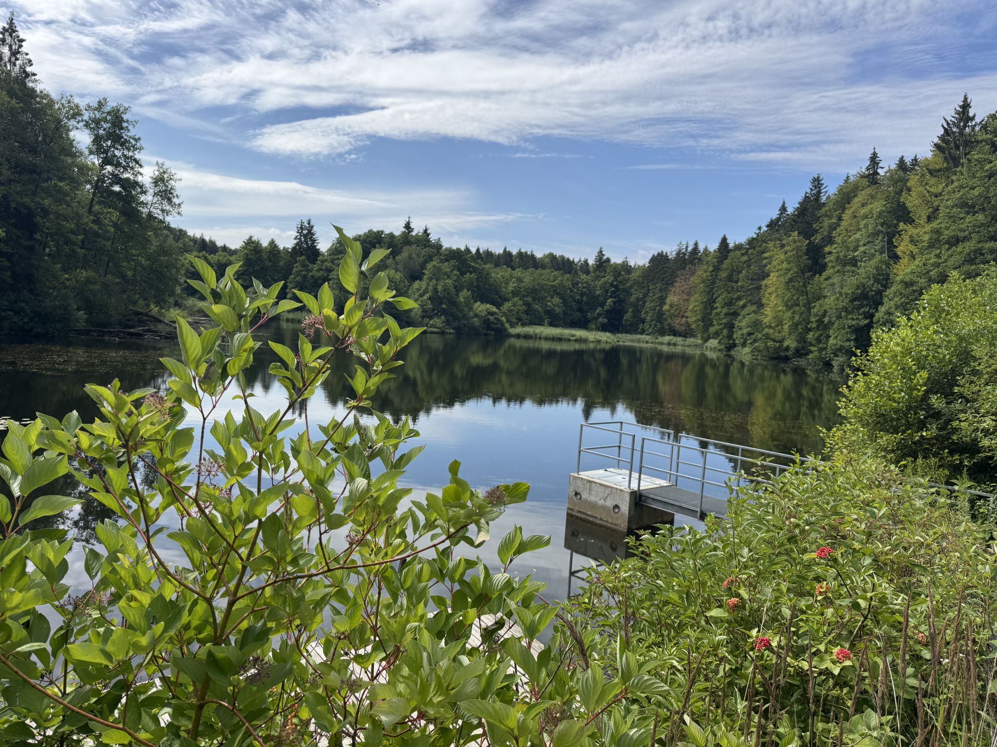 Unterer Abgebrochener Weiher