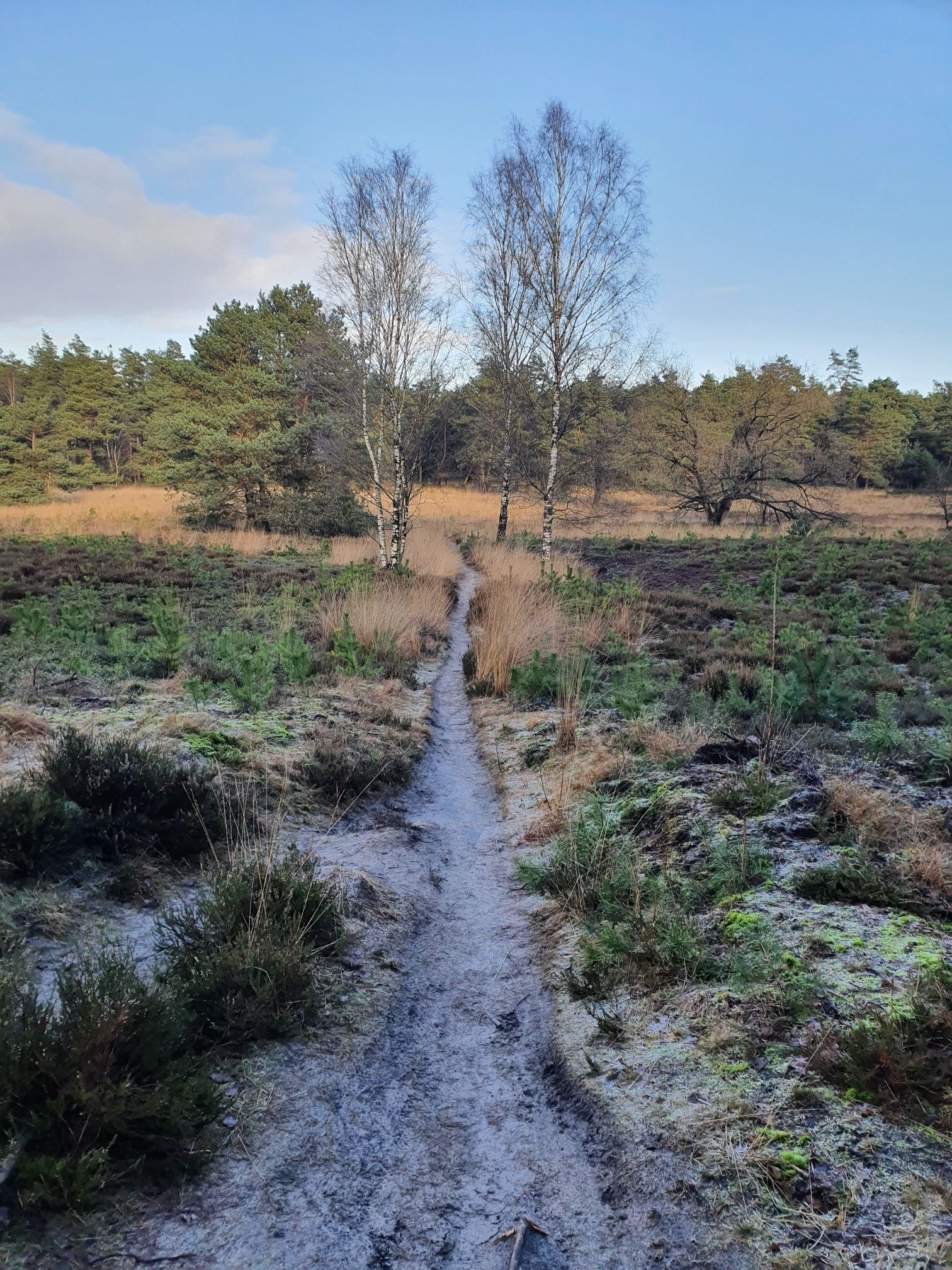 Mooi stukje single track!