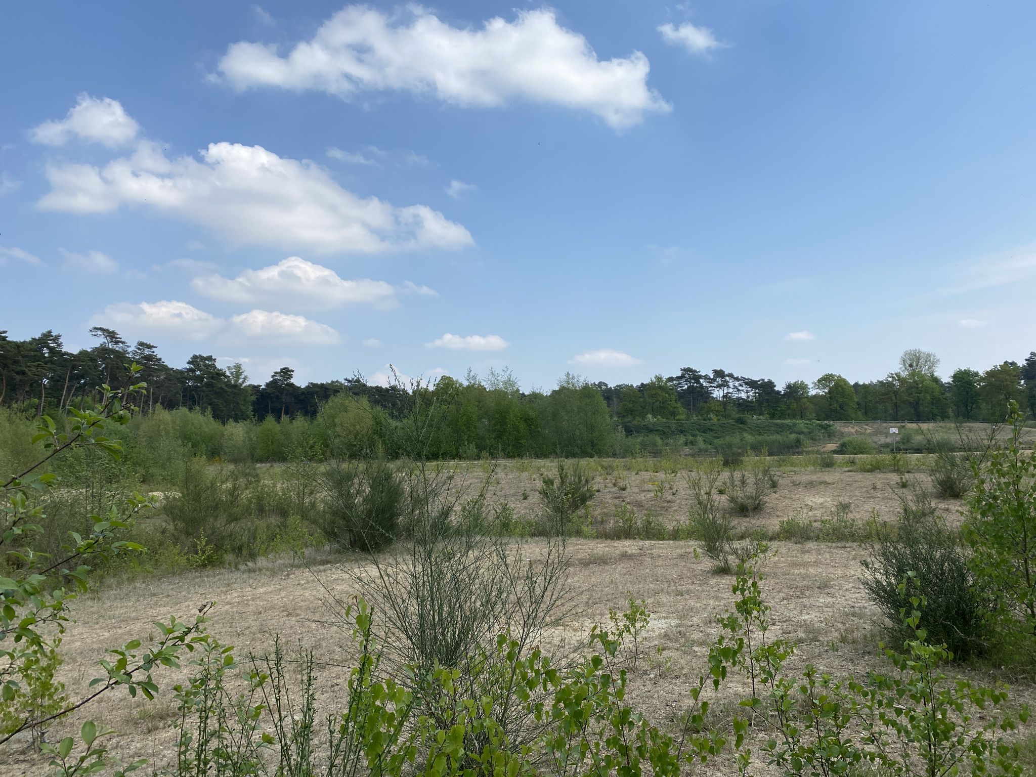 Ooit was hier een safaripark