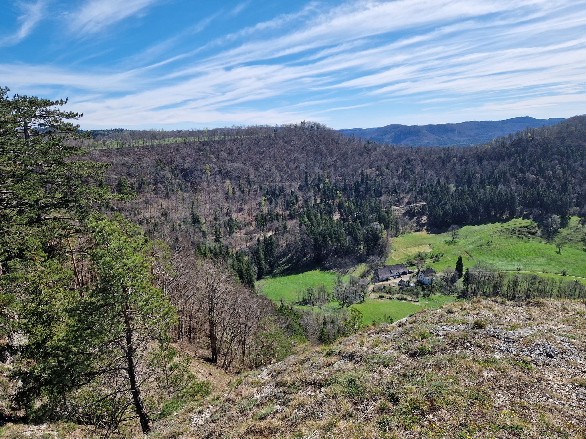Blick ins Hasental (Tele 3-fach)