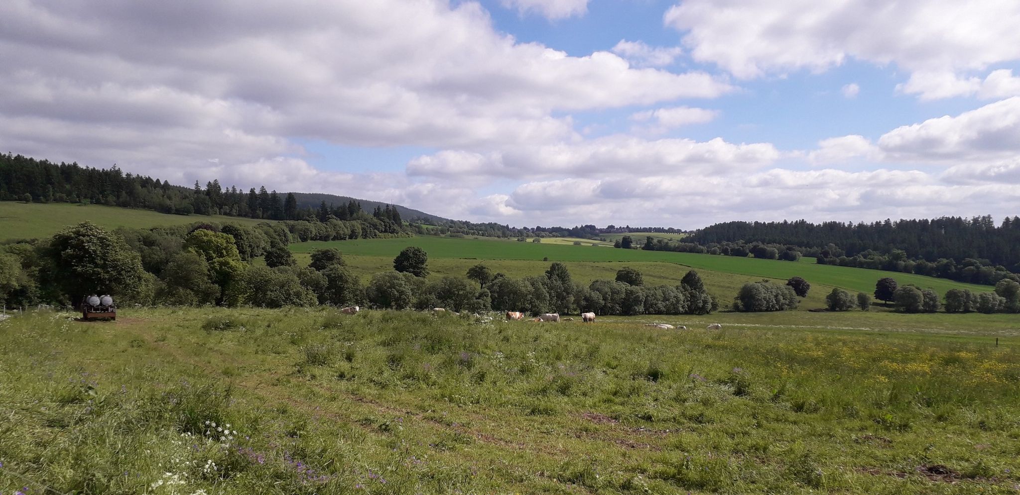 Blick in Richtung Gillersdorf