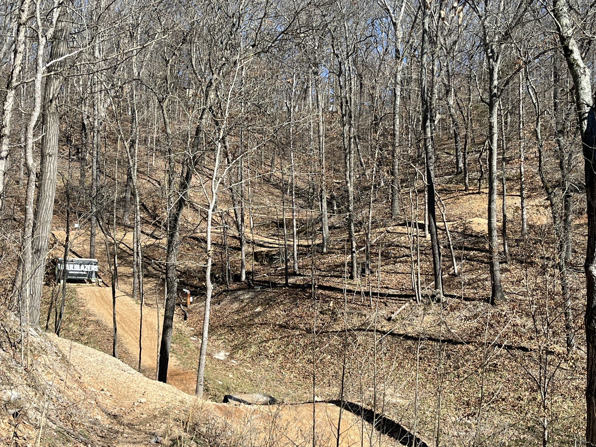 A dirt road winds through a dense, bare forest with a vehicle in the distance. - Wonderland Trails RV Hub – Bella Vista Lake loop from Veterans Memorial
