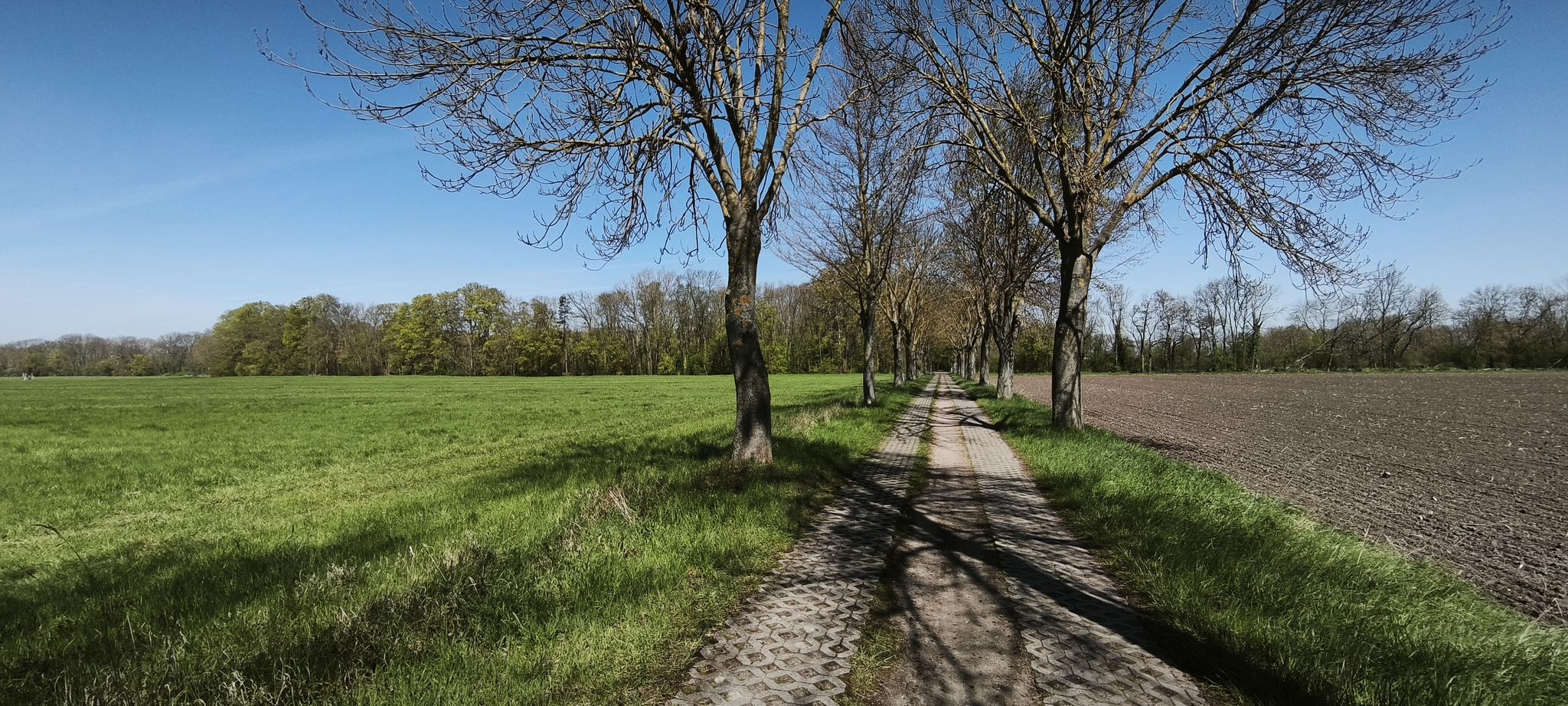 Radverbindung zwischen Göttnitz und Cösitz