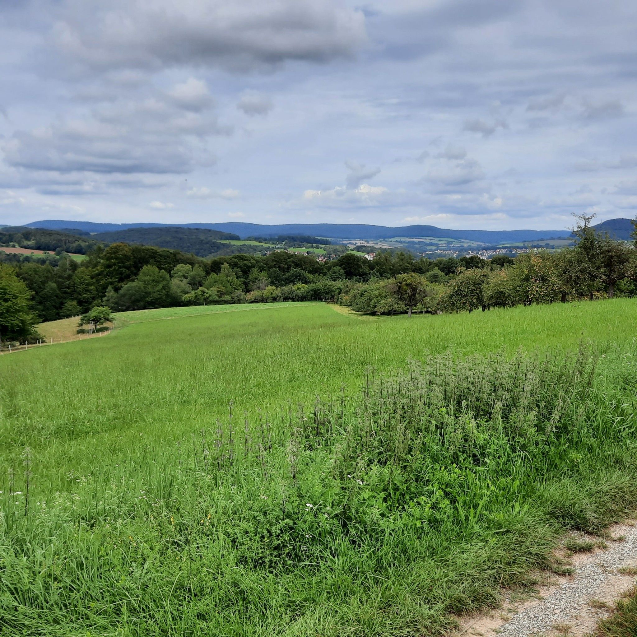 Blick über Kaltenberg