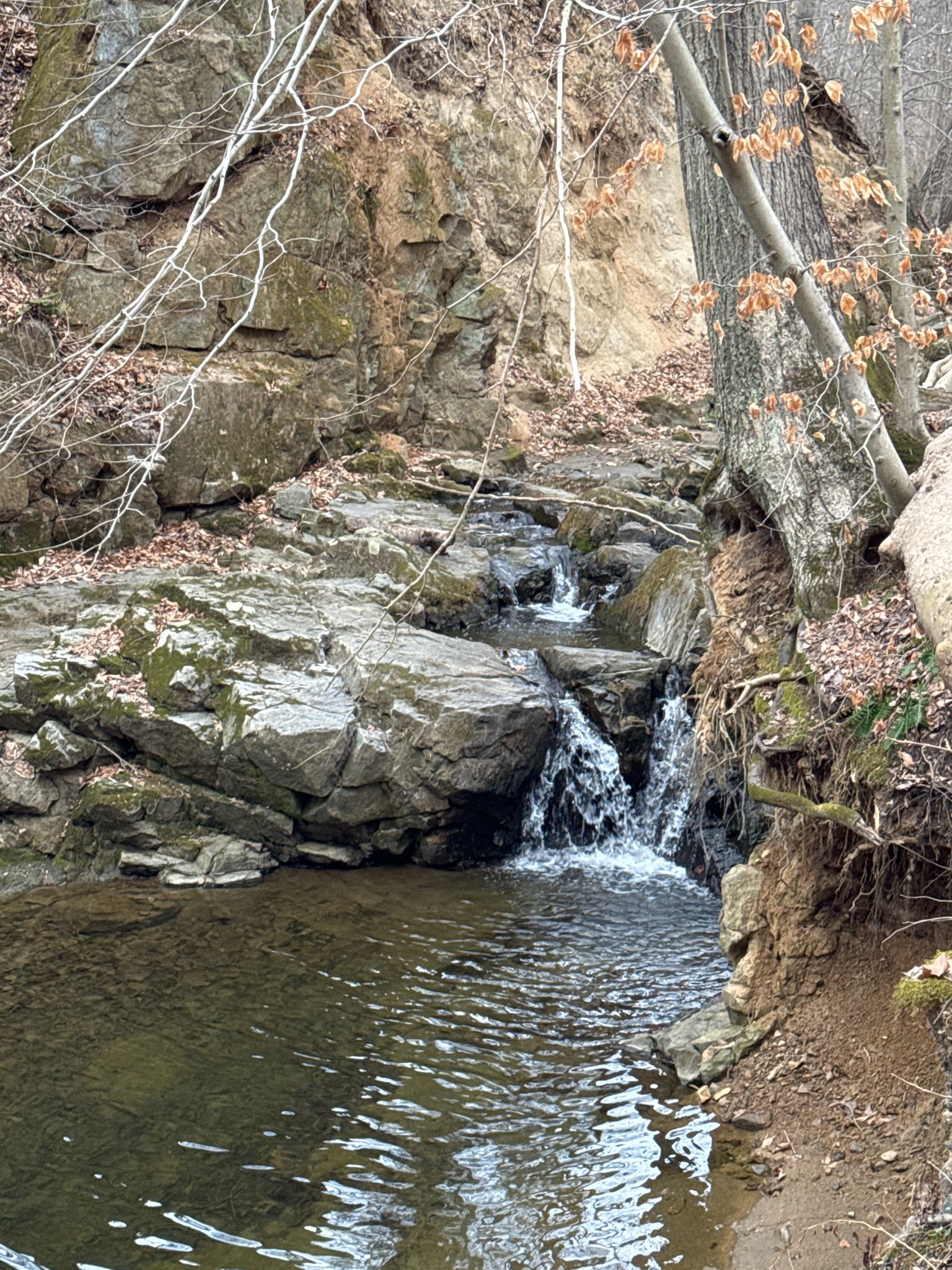 Small waterfall cascading into a clear stream surrounded by rocks and trees. - Starting Point – Trolley Line #9 Trail loop from Ellicott City