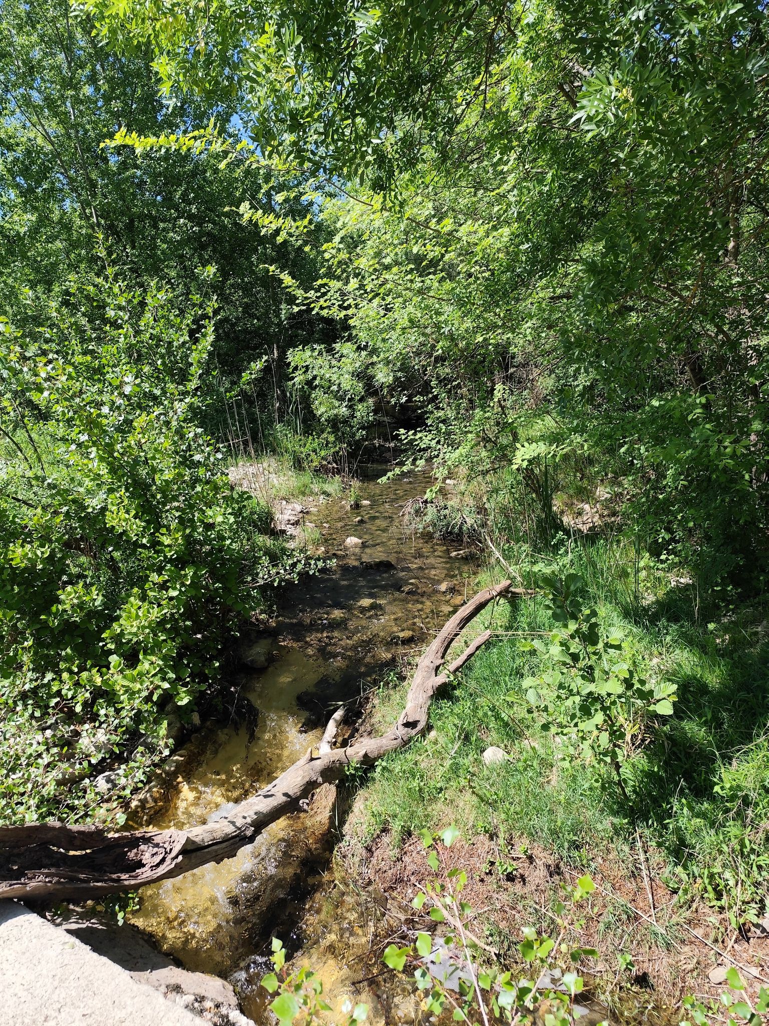 Vidourle 3