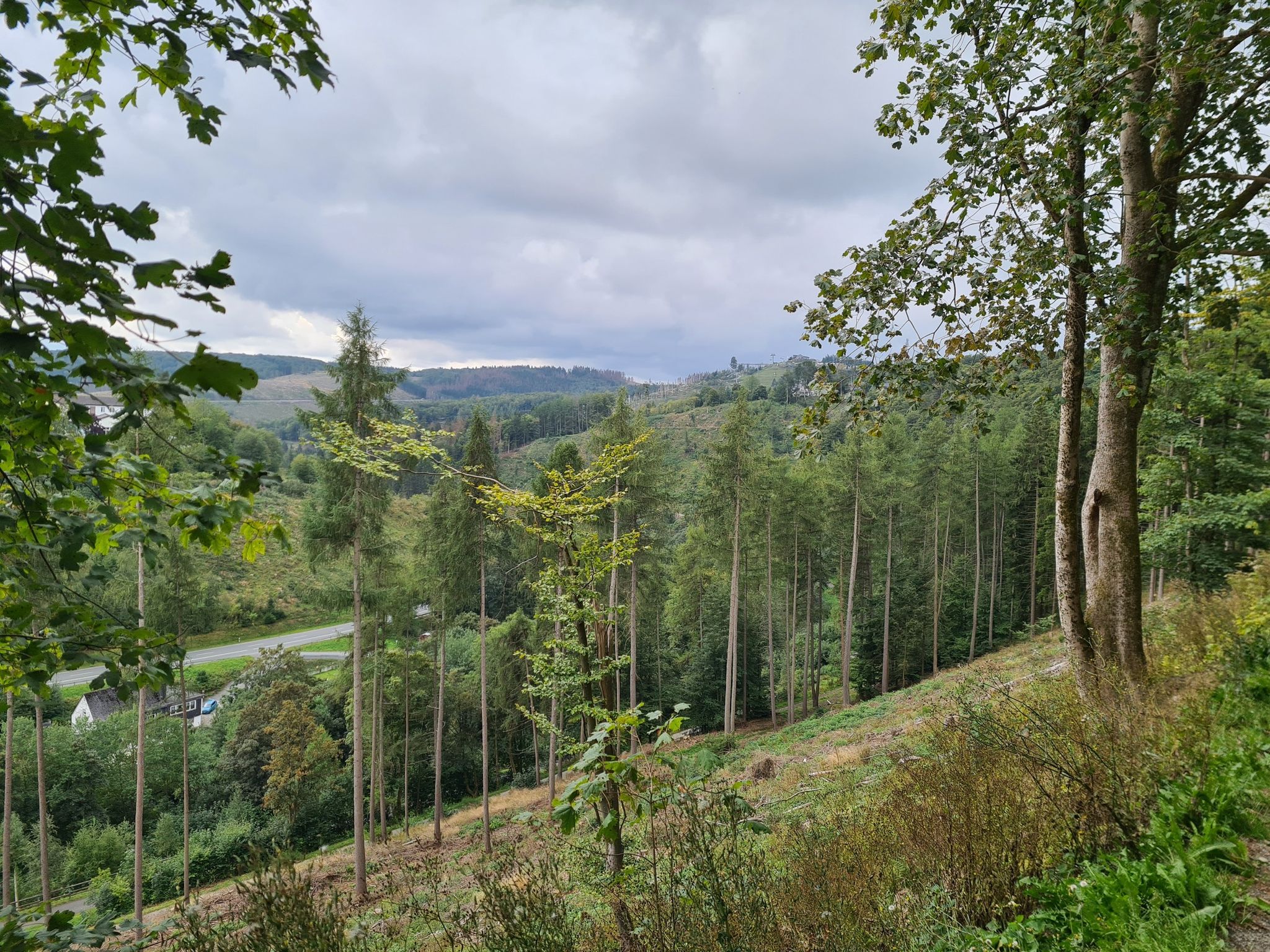 Blick zur Kappe