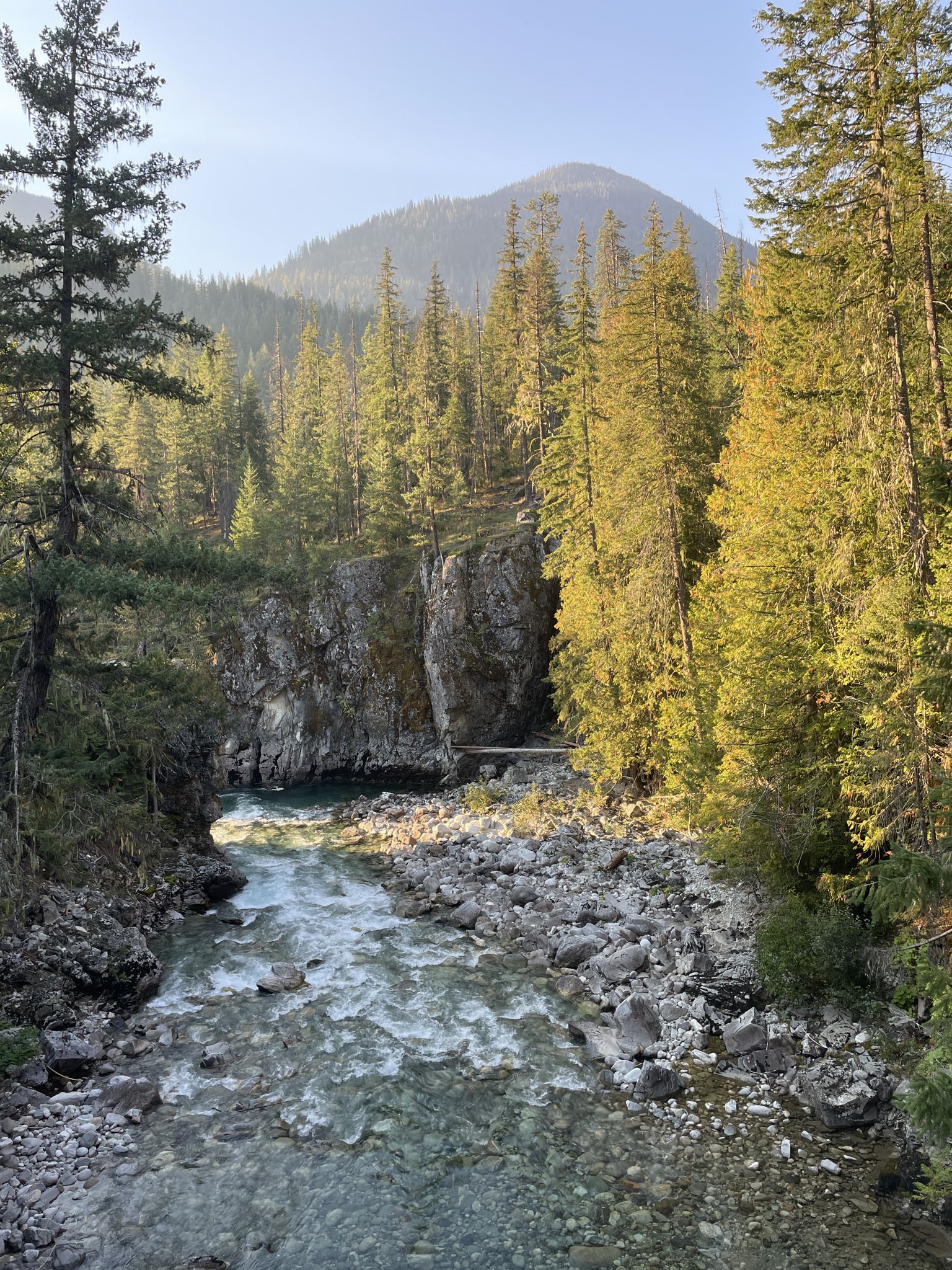 A clear river flows through a rocky gorge surrounded by sunlit evergreen trees. - Stehekin Pastry Company – Rainbow Falls loop from Purple Point Campground