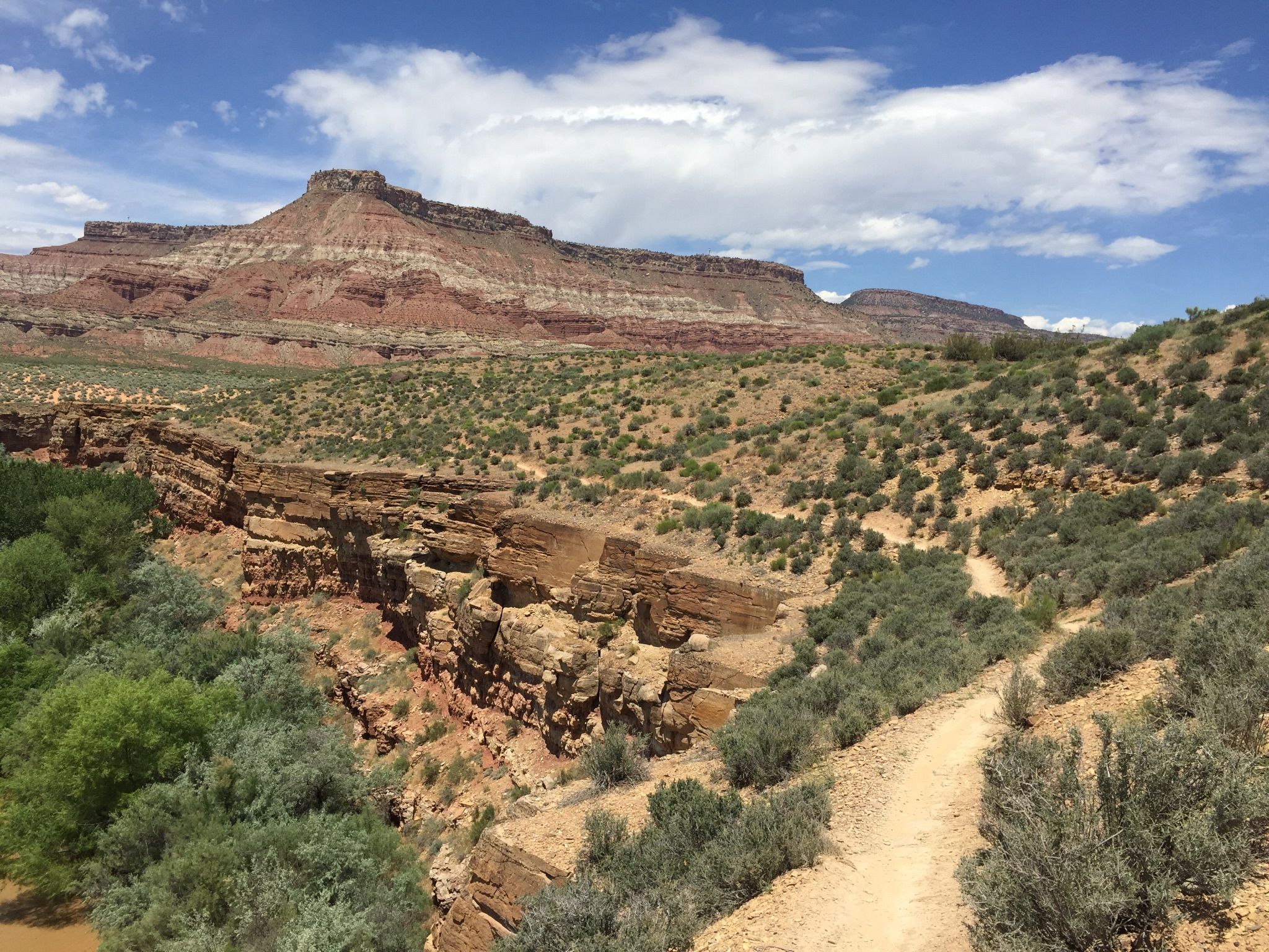 Scenic desert landscape with a river, red rock mesa, and dirt trail. - JEM Trails – MTB Trails in Hurricane, Utah