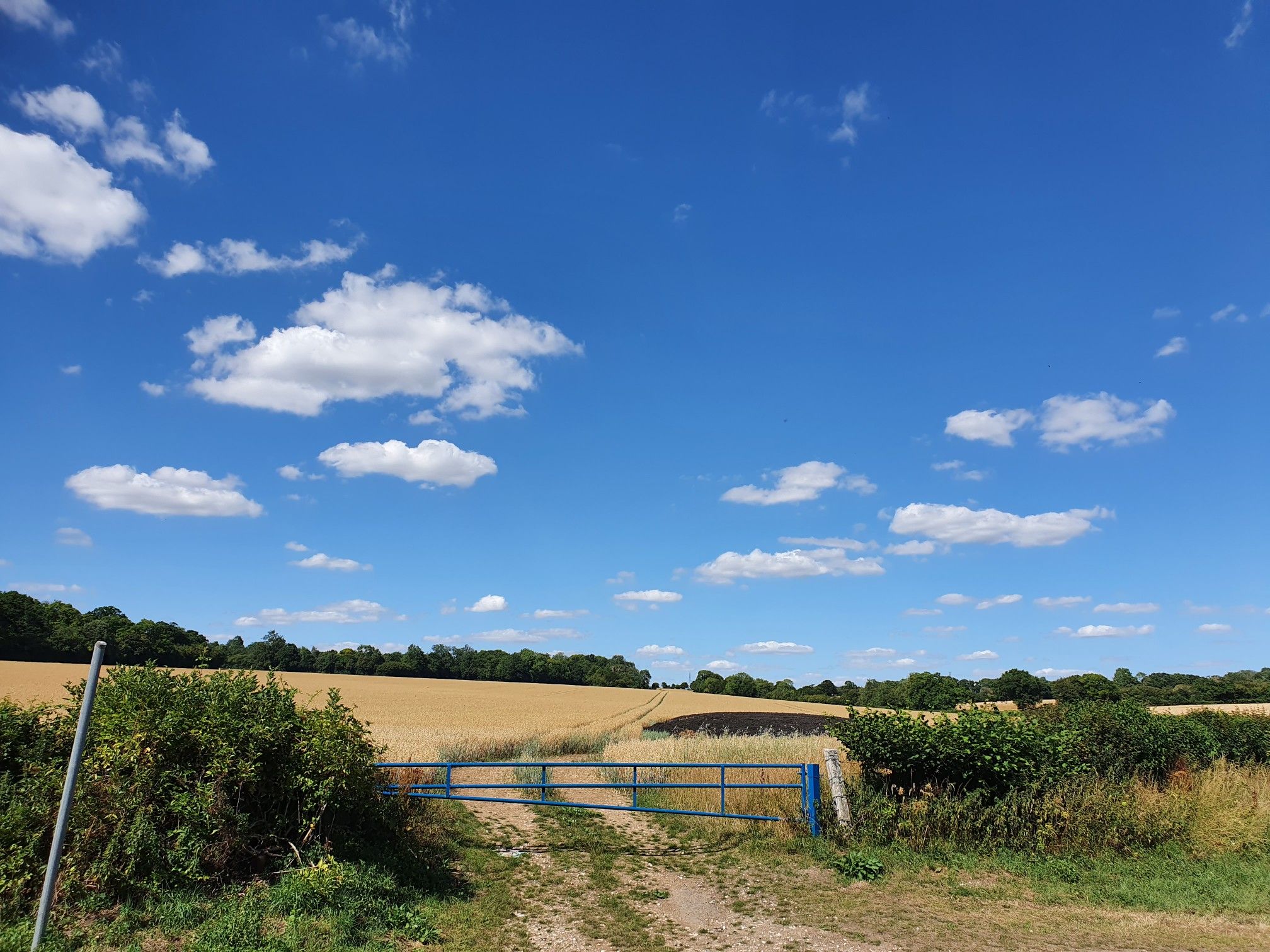 Just a field