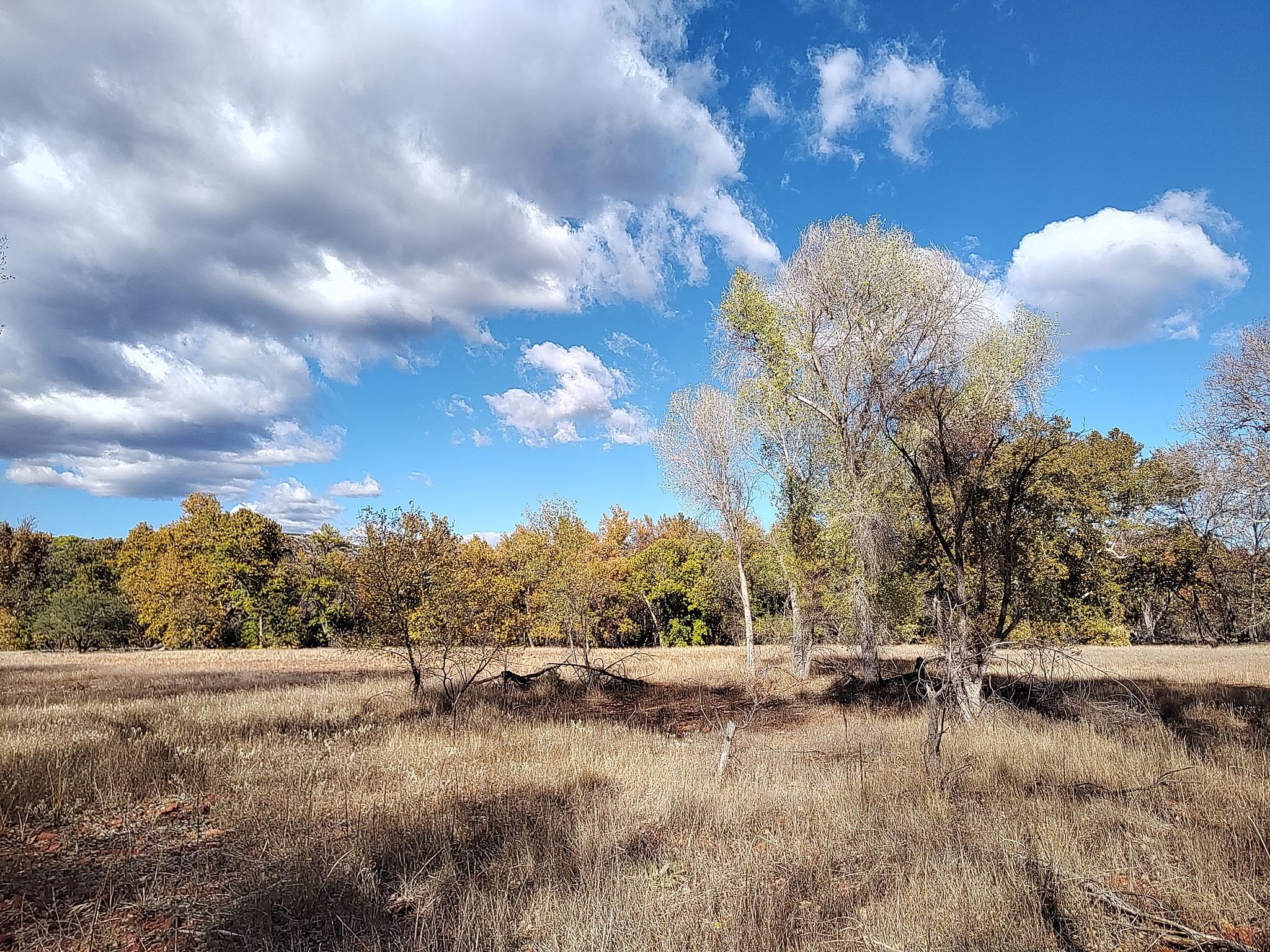 A sunny field with autumn trees under a dramatic blue and cloudy sky. - Eagle's Nest and Kisva Trail Loop
