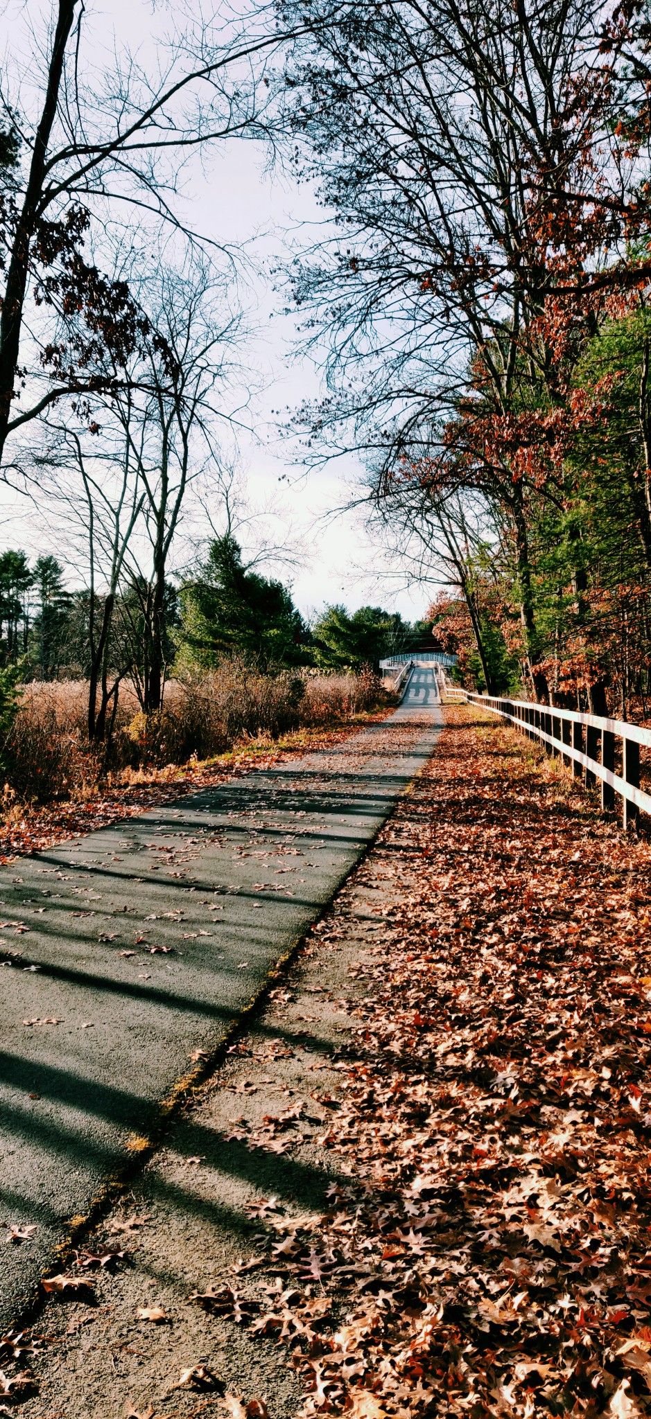Sunny paved path covered in autumn leaves, bordered by bare trees and a fence. - Acton – Nara Pond loop from Great Elm Parcel