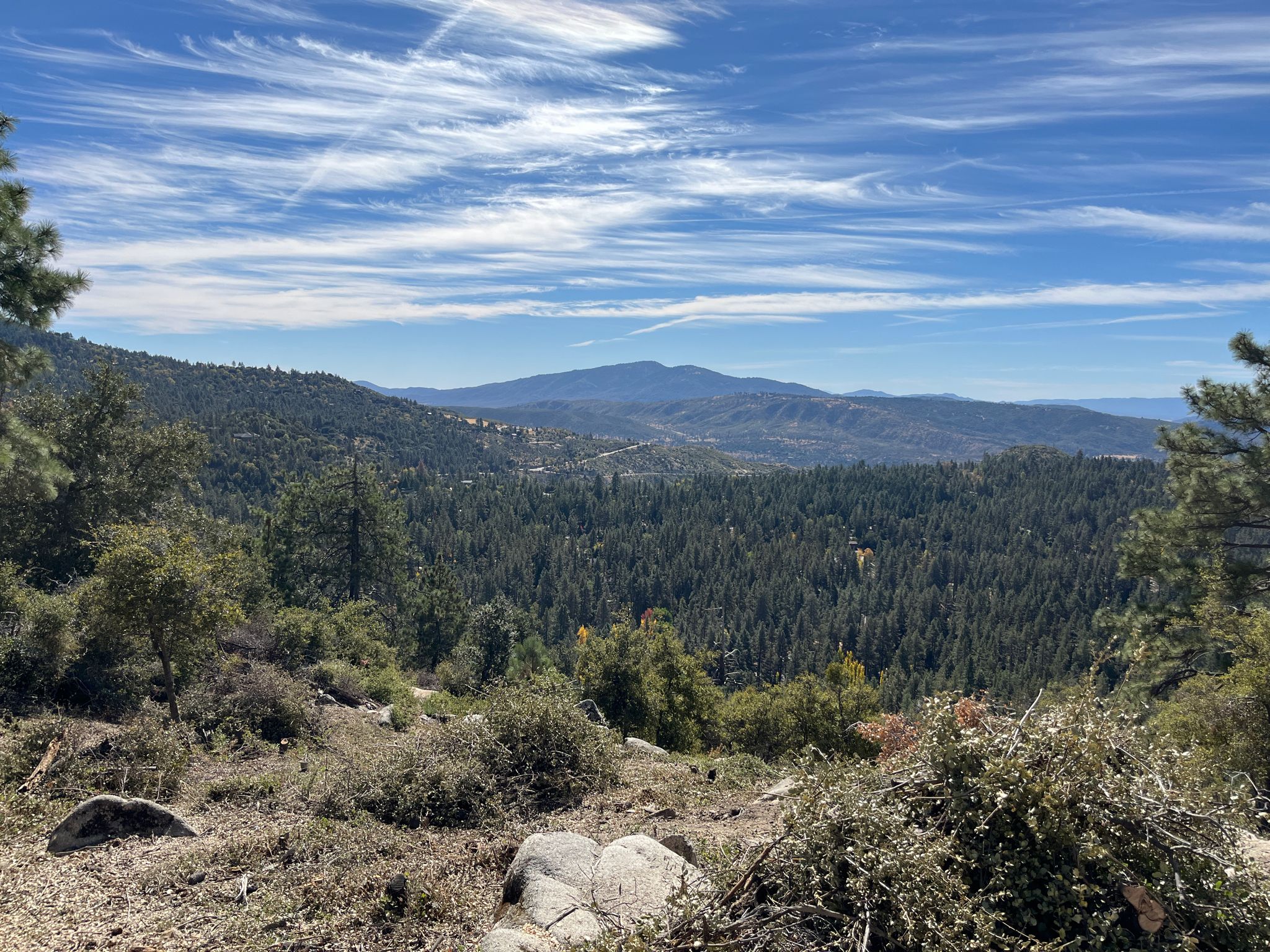 Expansive view of a dense green forest covering mountains under a bright blue sky. - Idyllwild Park South loop
