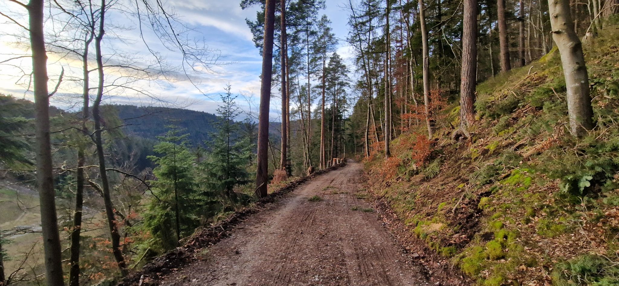 Unterer Teil zur Fuchsklinge endlich Waldarbeiten beendet