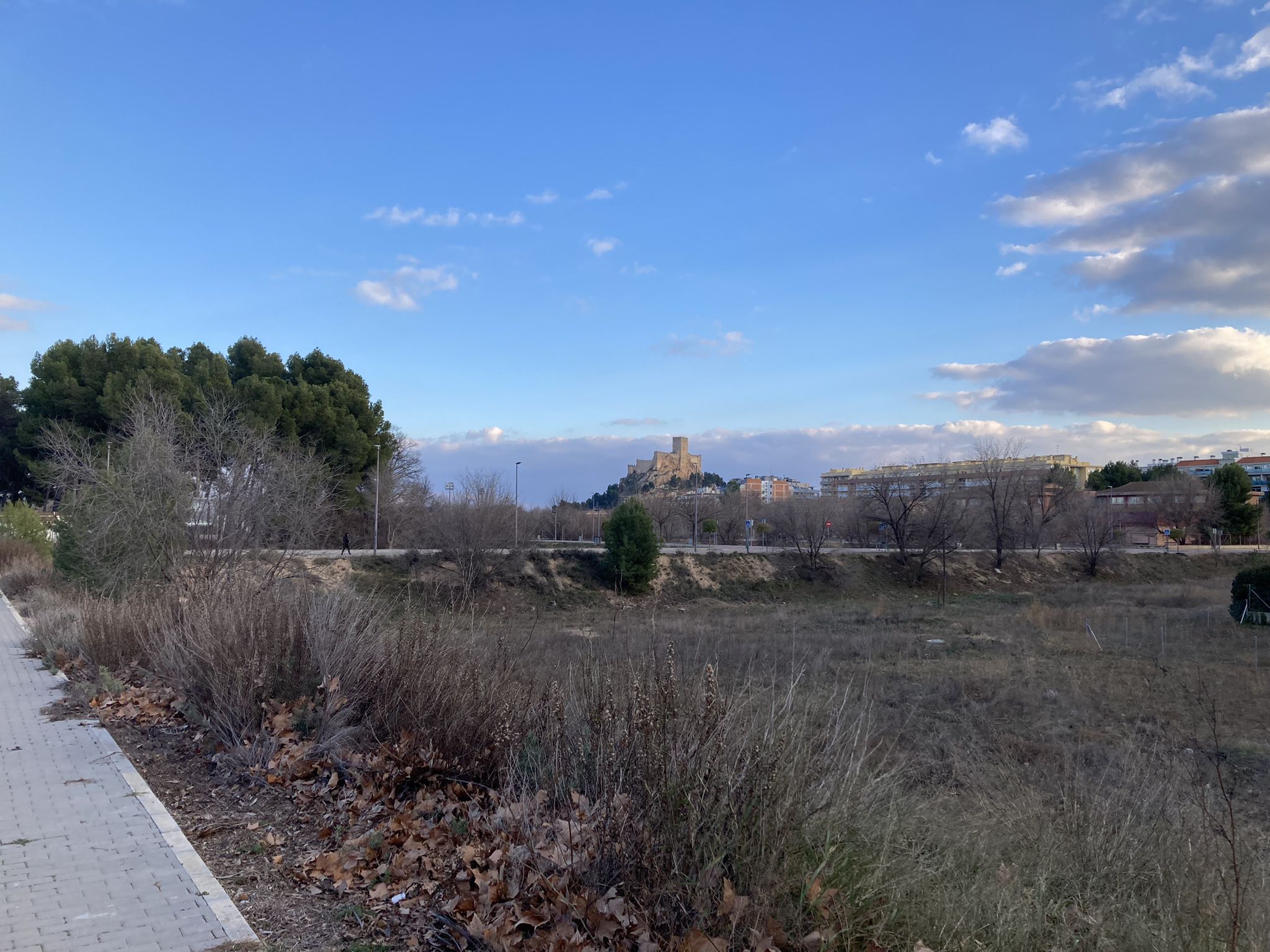 Castillo de Almansa