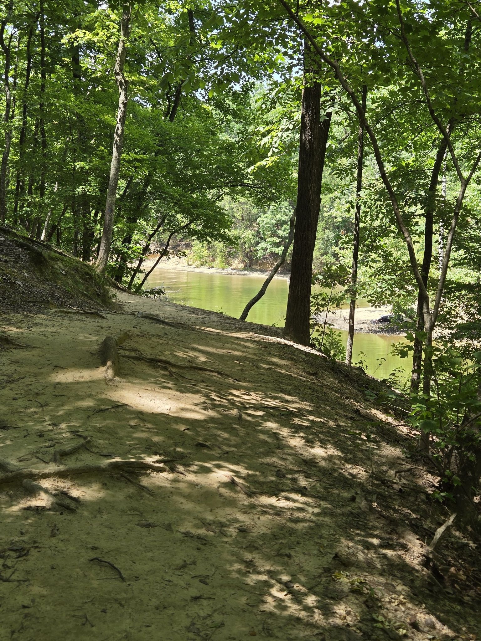Sunny dirt path along a forested hill overlooking calm, green-tinted water. - McDowell Chestnut Loop