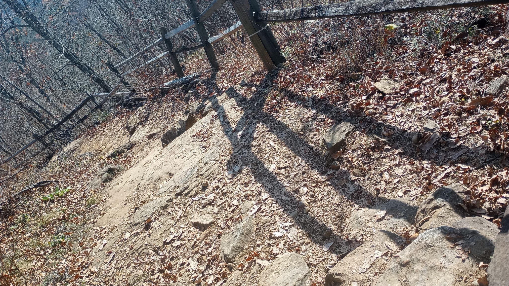 Rocky, leaf-covered slope with a wooden fence and long shadows. - Pigeon Hill Trail
