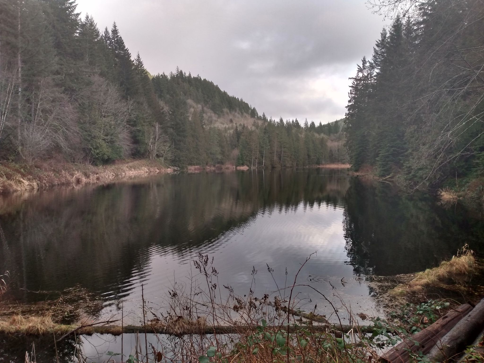 A dark, still lake surrounded by dense evergreen forests under a cloudy sky. - Cain Lake to Lake Whatcom viewpoint