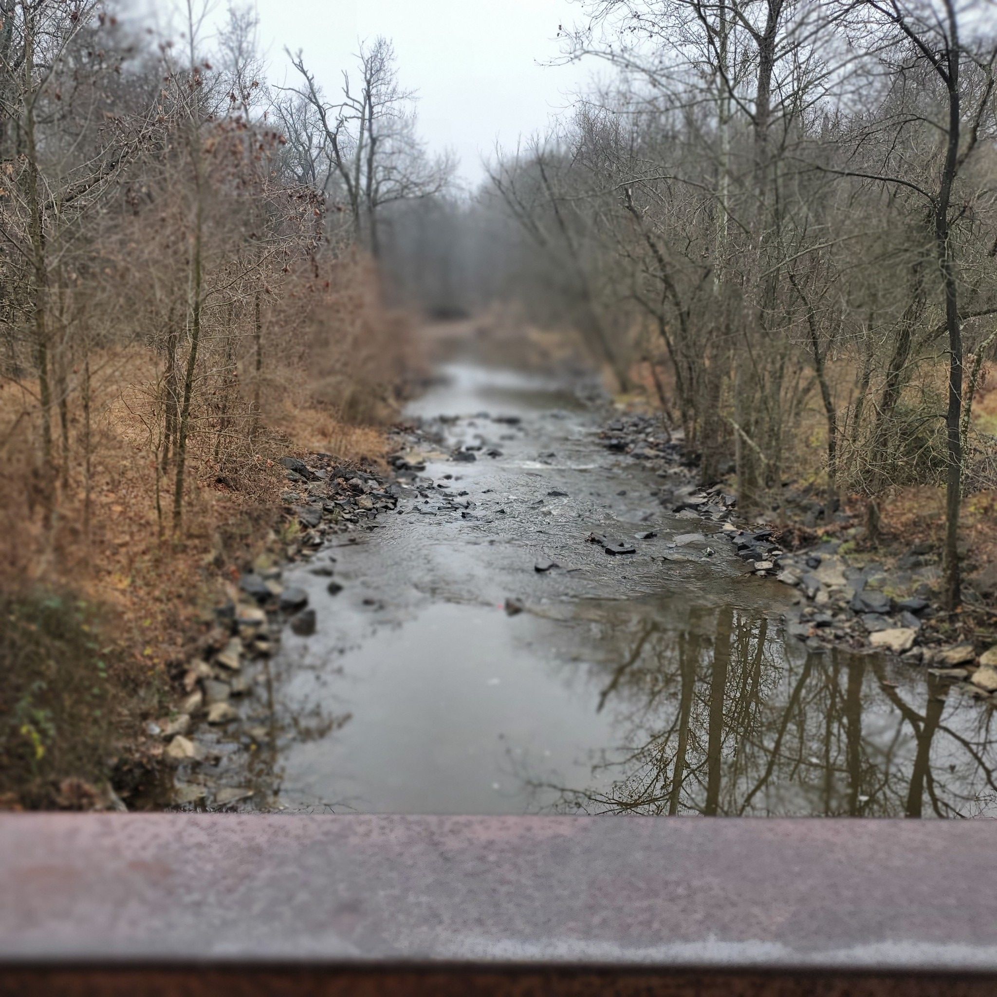Rocky stream flowing through a bare winter forest under a muted sky. - Indian Creek Trail – Lake Artemesia loop from Greenbelt Park