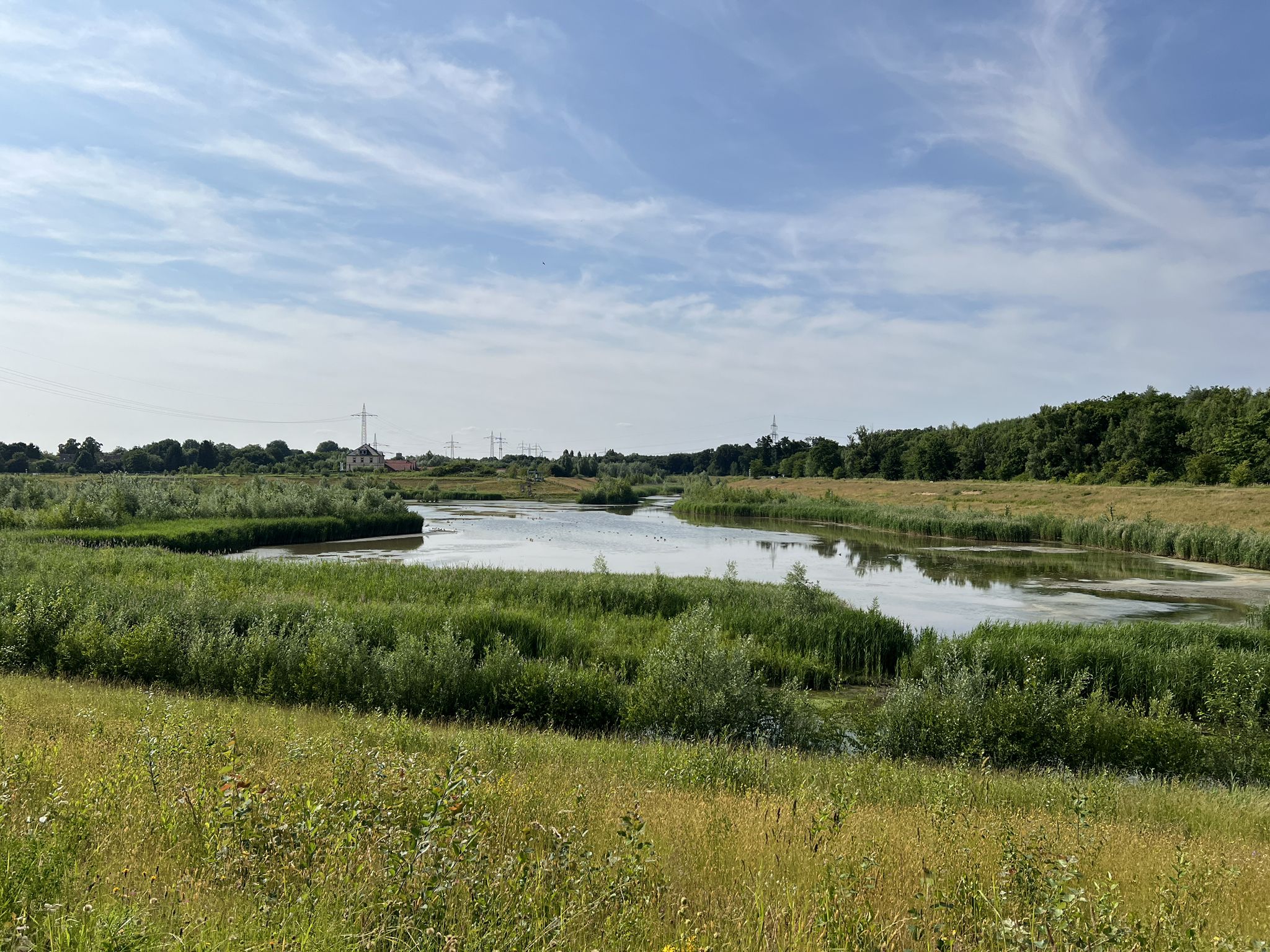Emscherauen
