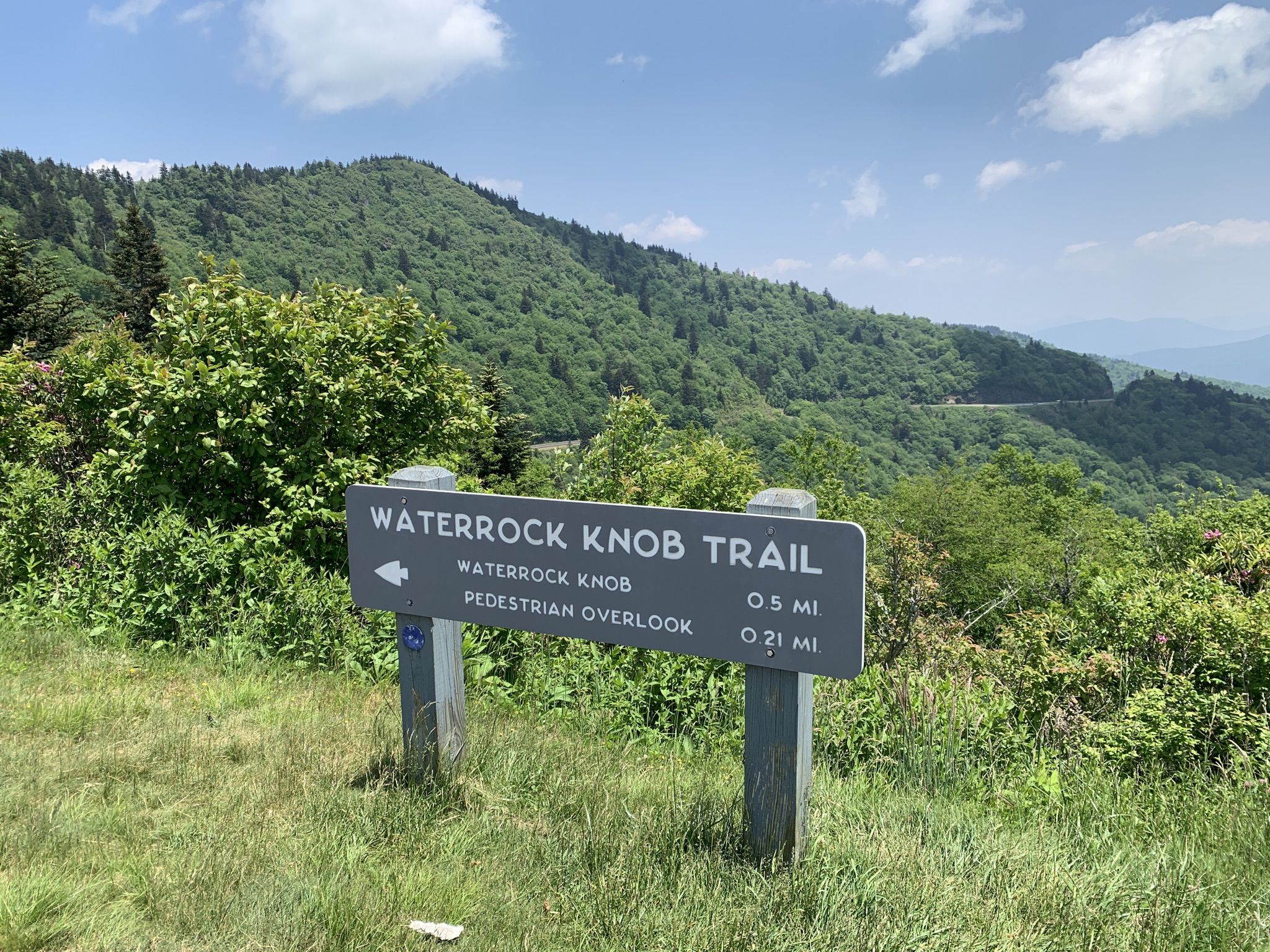 A wooden trail sign stands in a grassy field with green mountains behind. - Waterrock Knob from Thunderstruck Overlook
