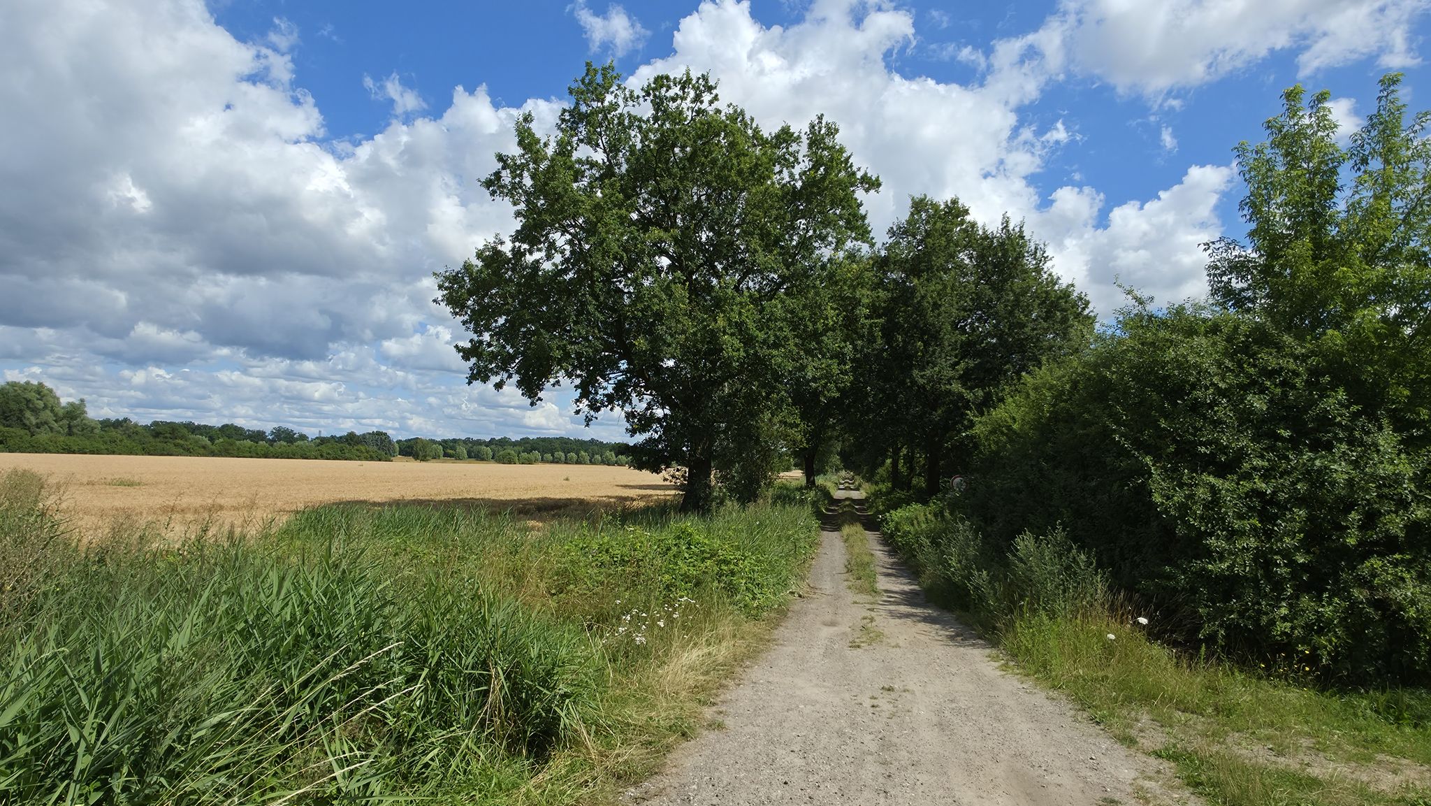 Blick zurück
