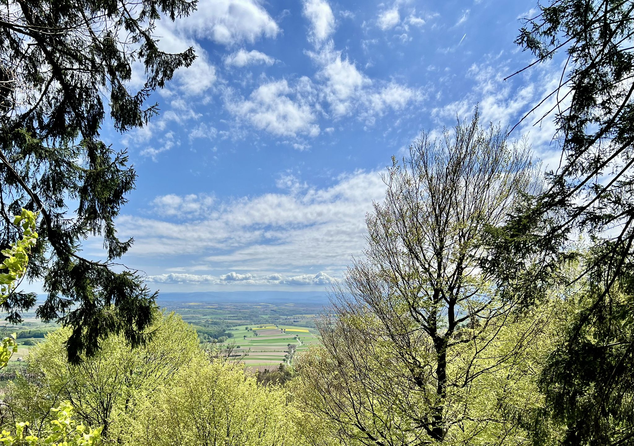 Panoramablick in die Rheinebene und Schwarzwald