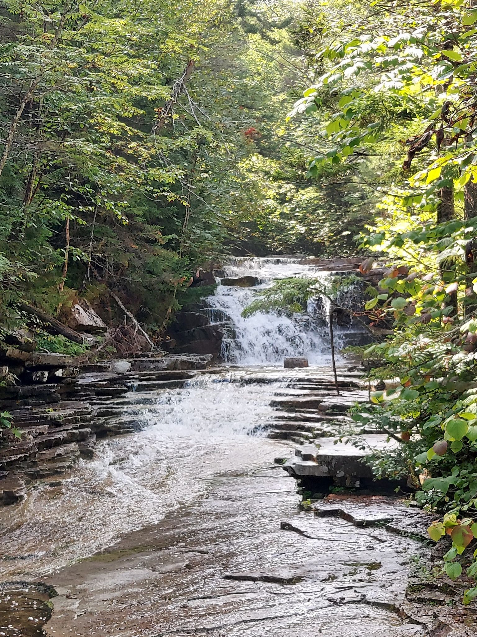 Multi-tiered waterfall flowing over flat rock ledges in a sunlit forest. - Bemis Brook Waterfalls Trail – Bemis Falls loop from Hart's Location