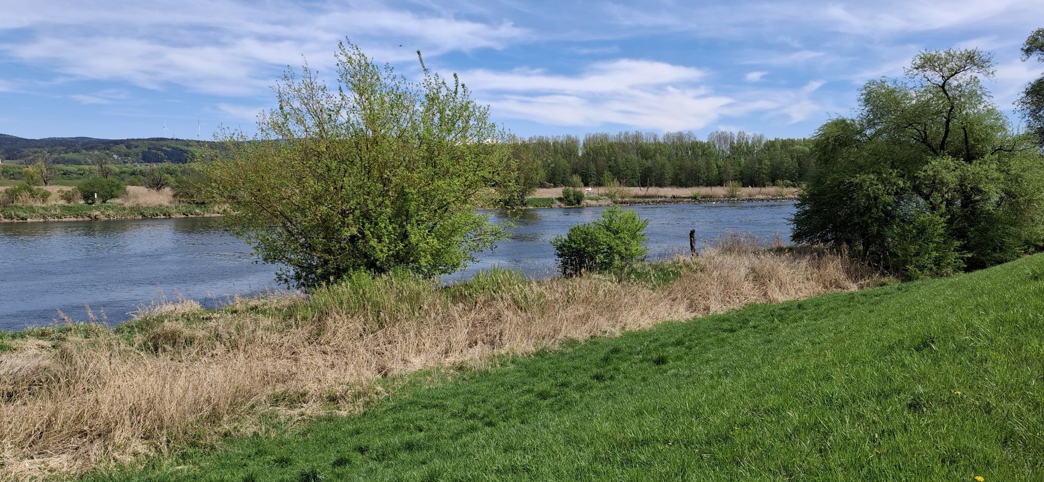 Donau/Gmünd