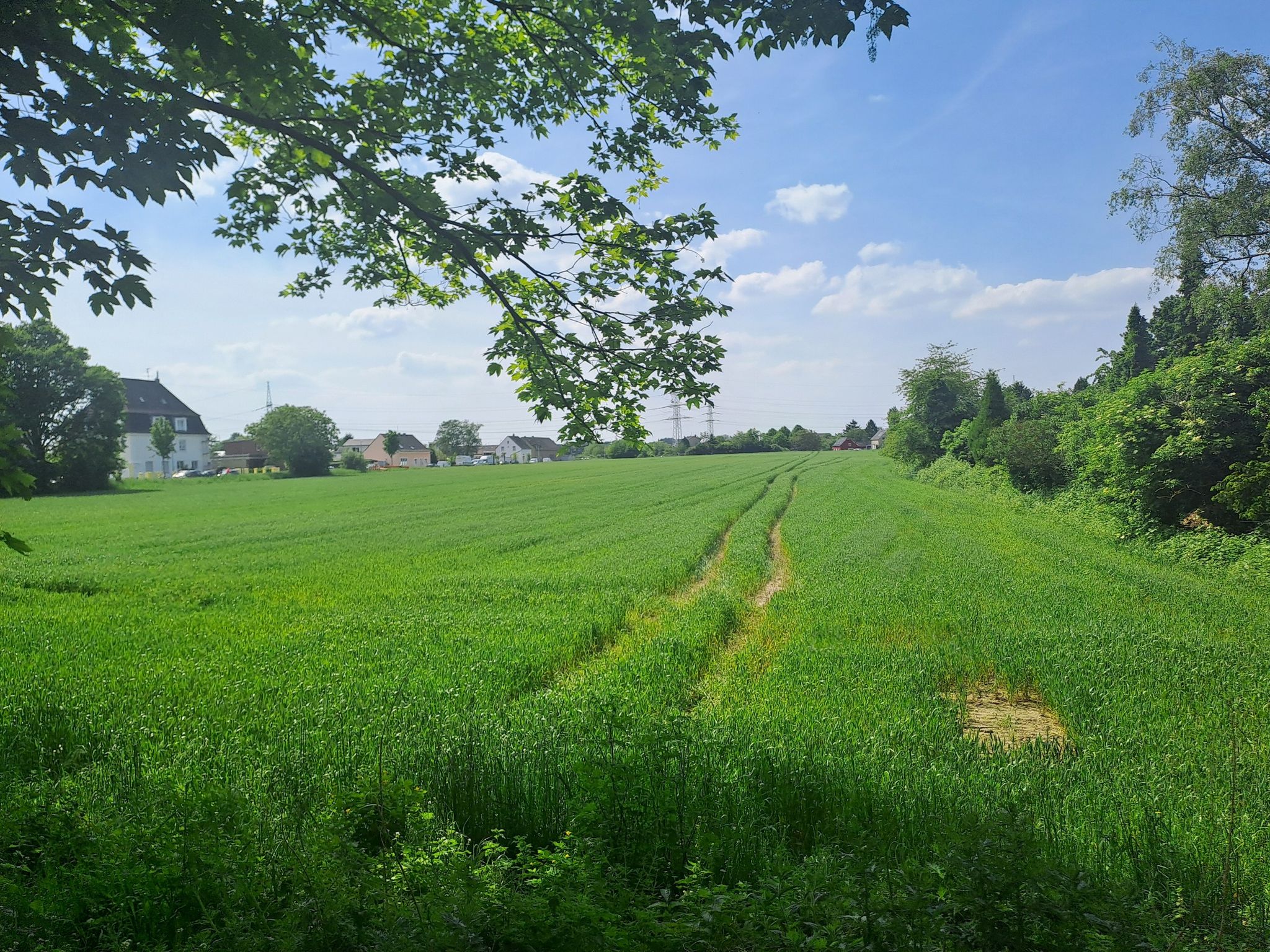 Genug Platz zum Pflanzen wäre da