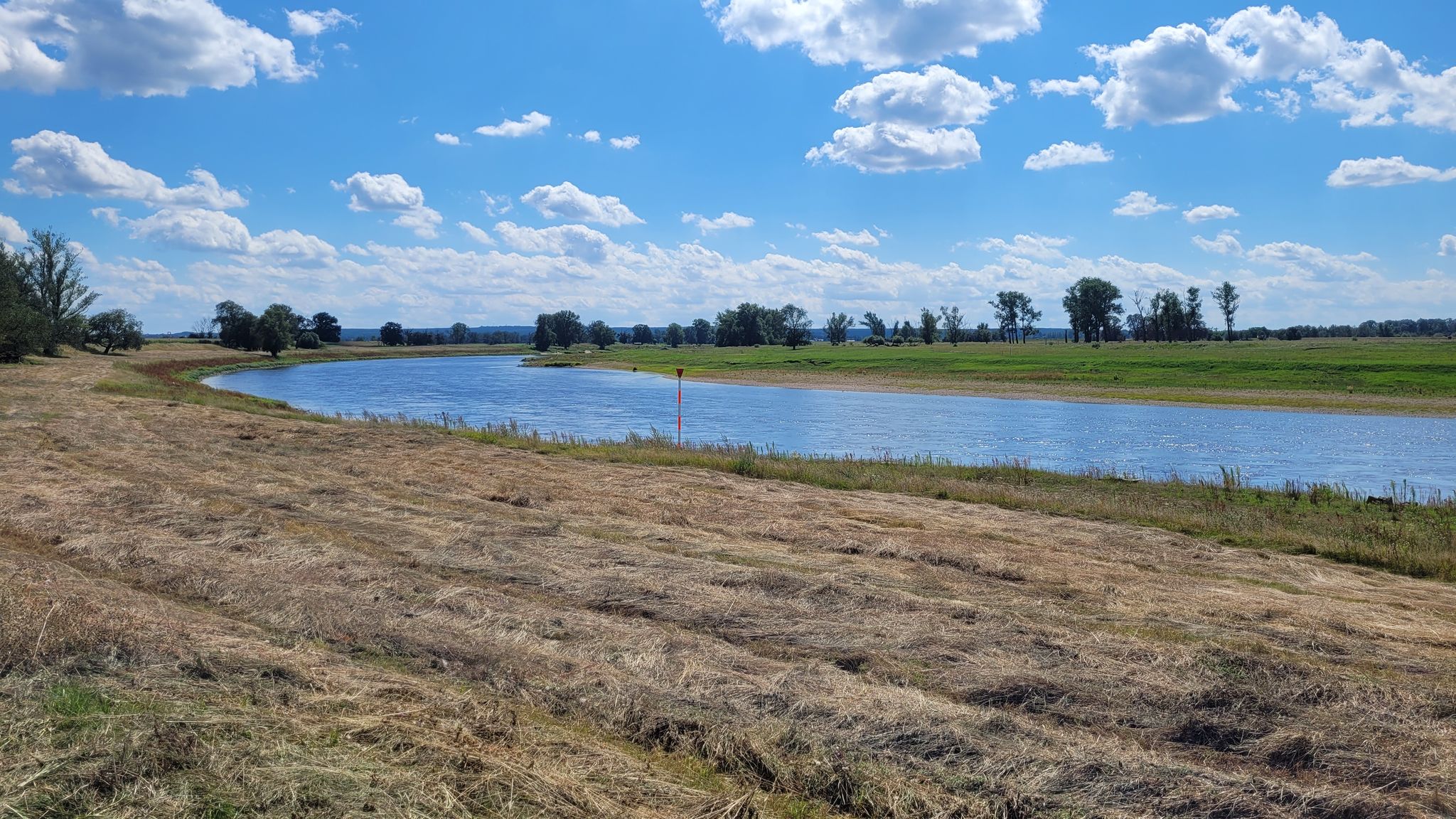 Die Elbe bei Pülswerda
