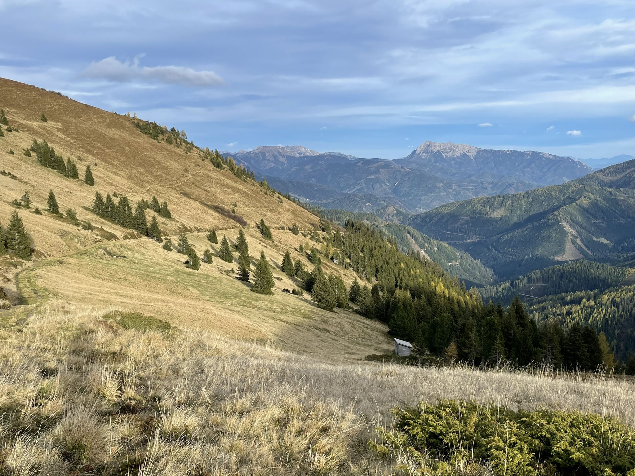 Am Bärensuhlsattel - Eisenerzer Reichenstein und Gößeck