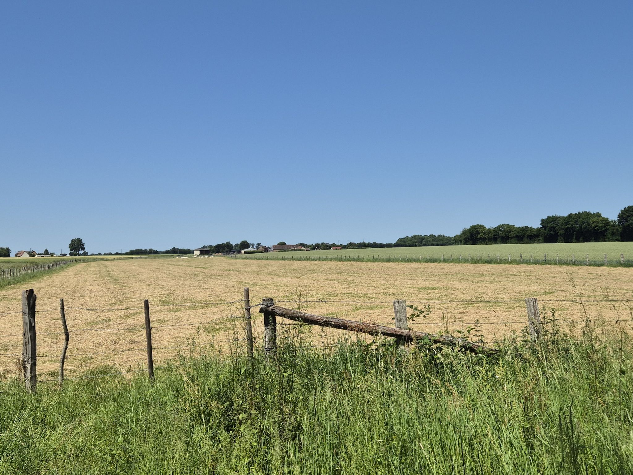 land