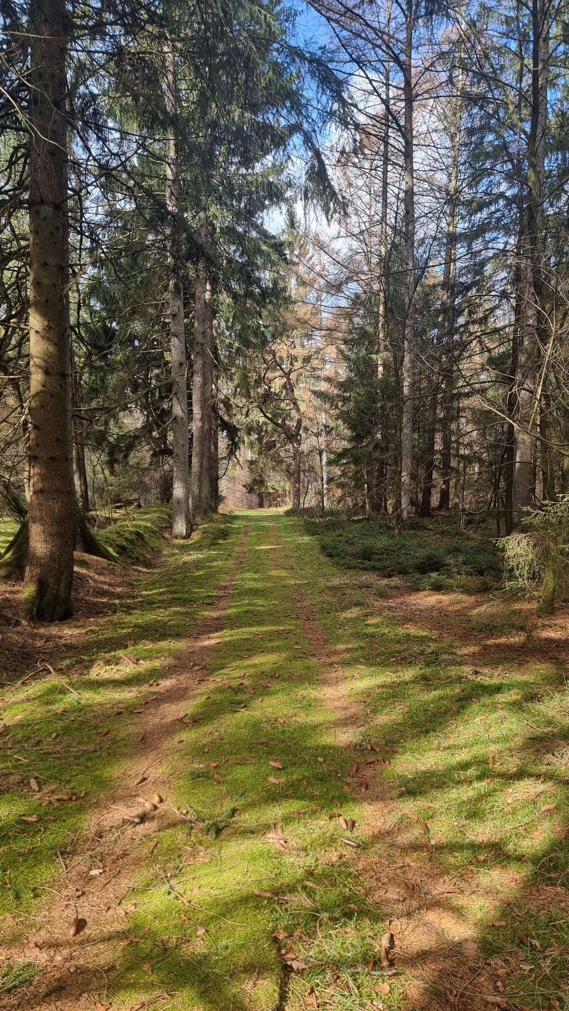 Wald-Baden!