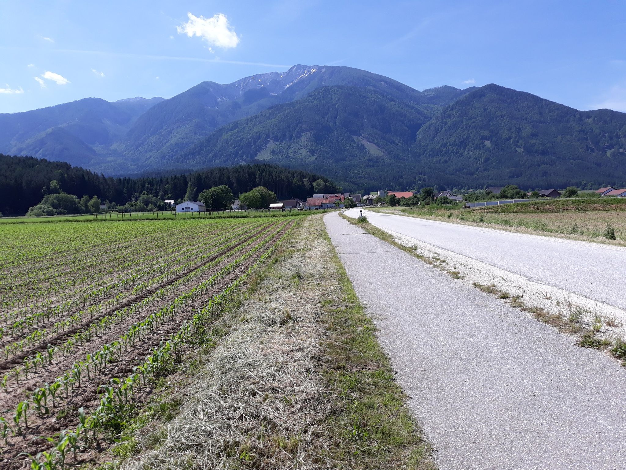 Blick zurück