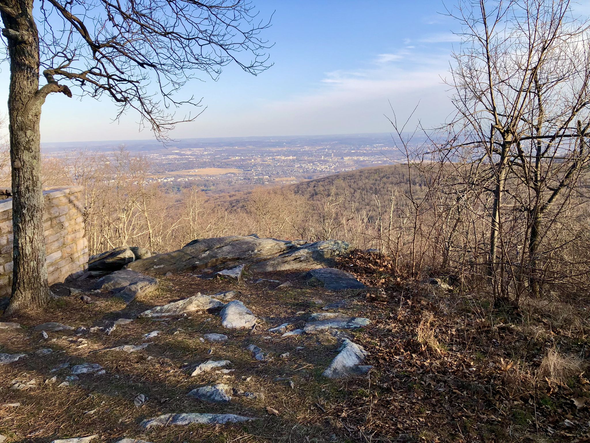 Rocky overlook with bare trees, offering a distant view of a city. - Black Locust and Green Ash Loop