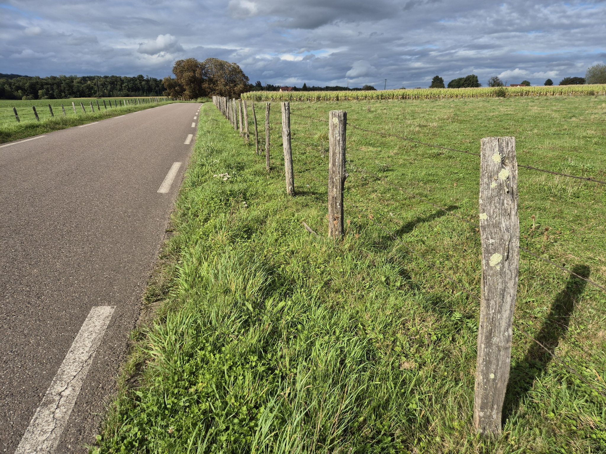 old wood barbed wire fence