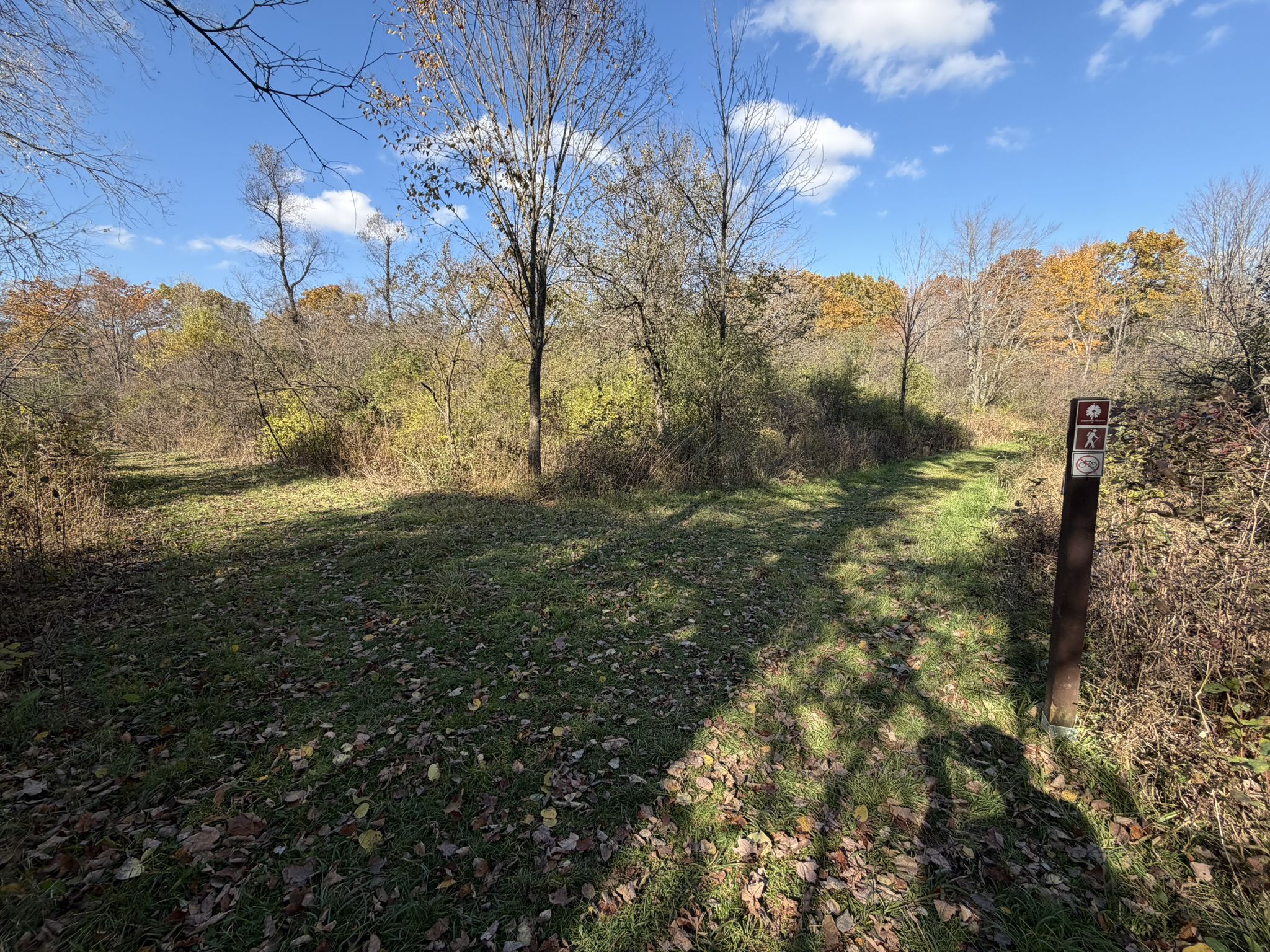 Grassy trail forks in a sunny autumn landscape with a trail marker. - Steinke Basin Loop