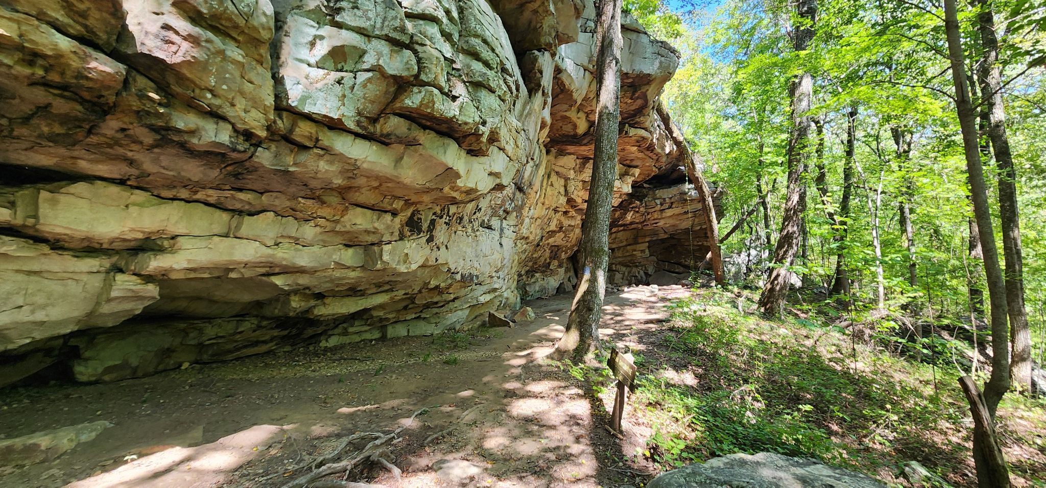 A dirt path runs alongside a massive rock overhang in a sunny forest. - Snoopers Rock Trail