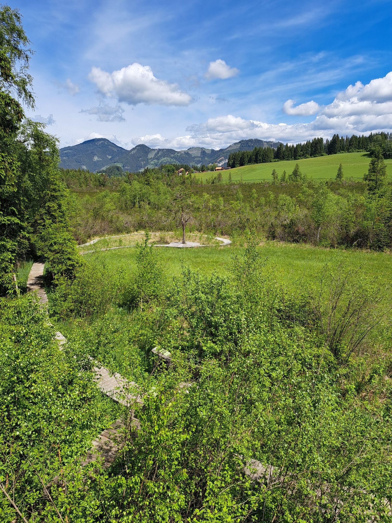 Dürnberger Moor