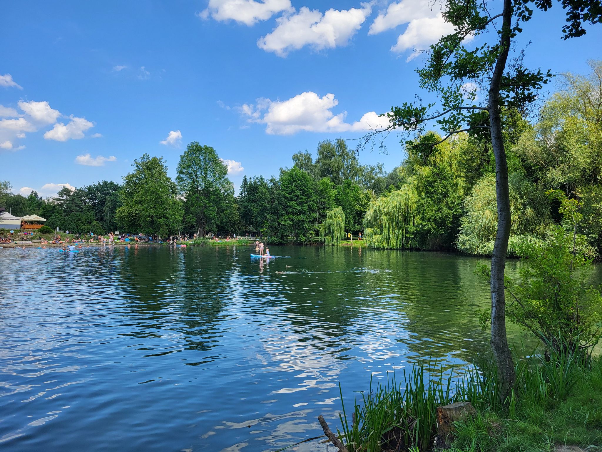 Chomoutovské jezero