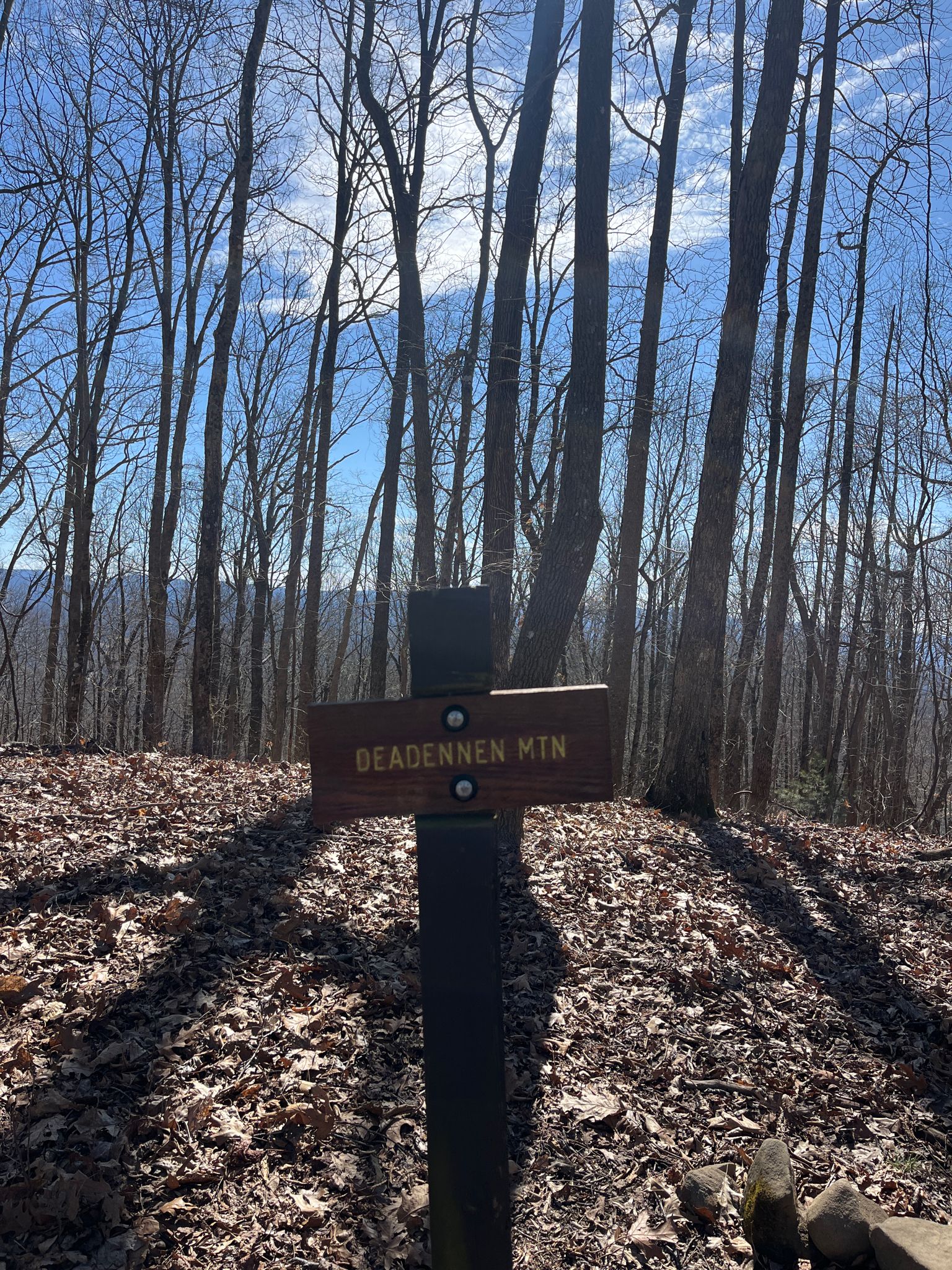 A wooden trail sign stands on a leaf-covered ground in a bare forest. - Benton MacKaye Trail: Laddenenn and Wilscot Mountain Loop