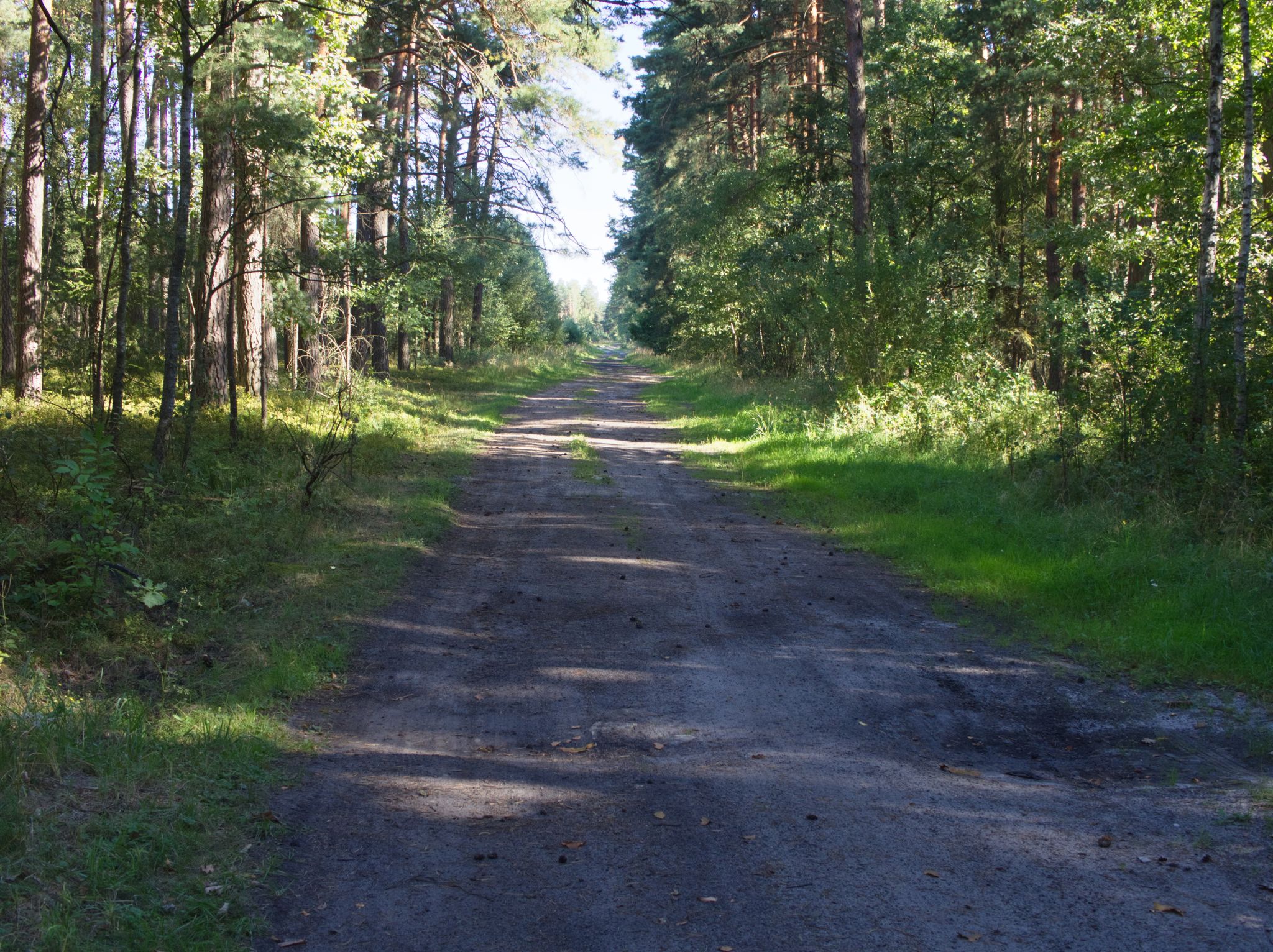 Piachy się kończą, póki co ;)
