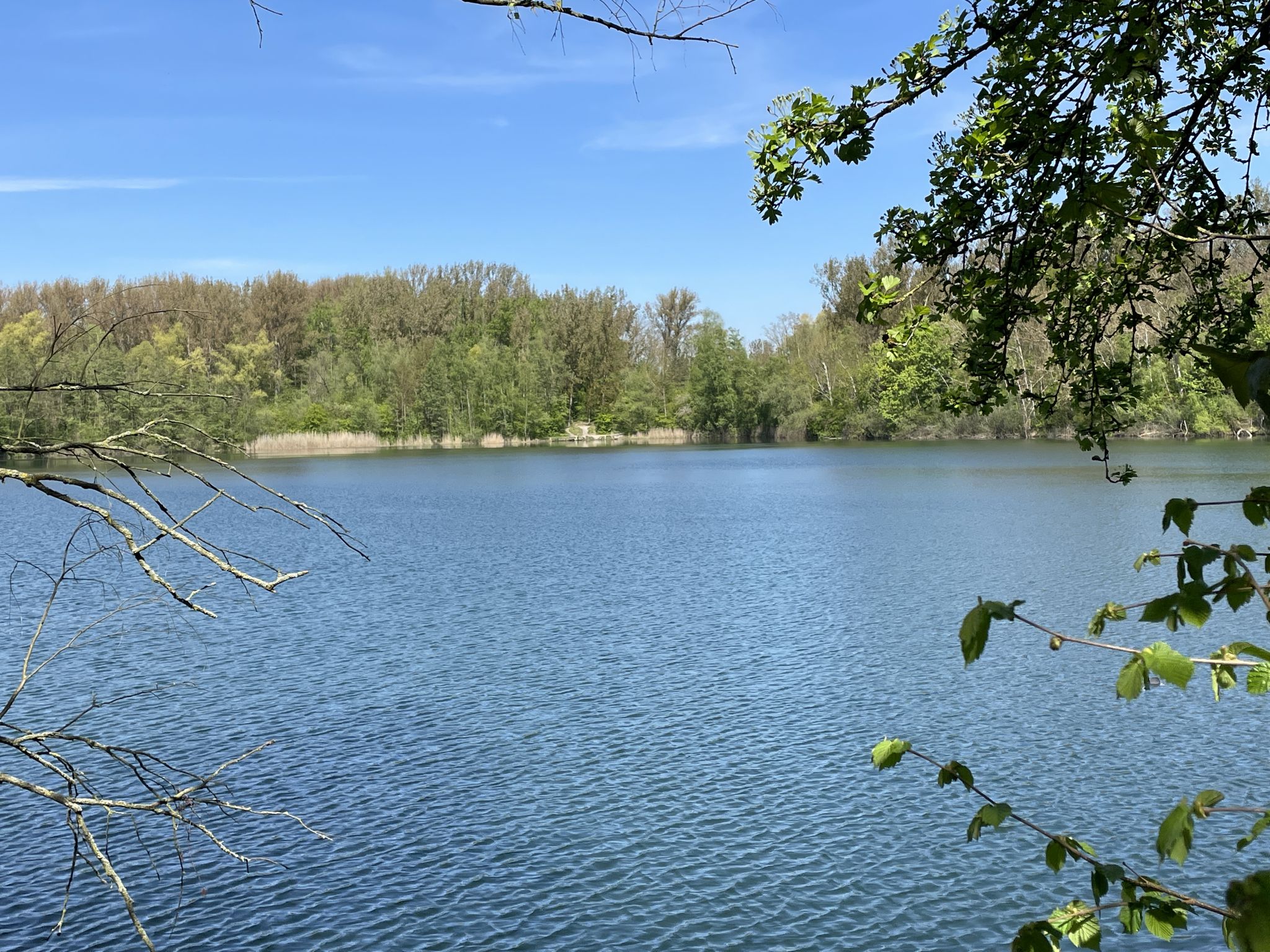 ABU-Teich