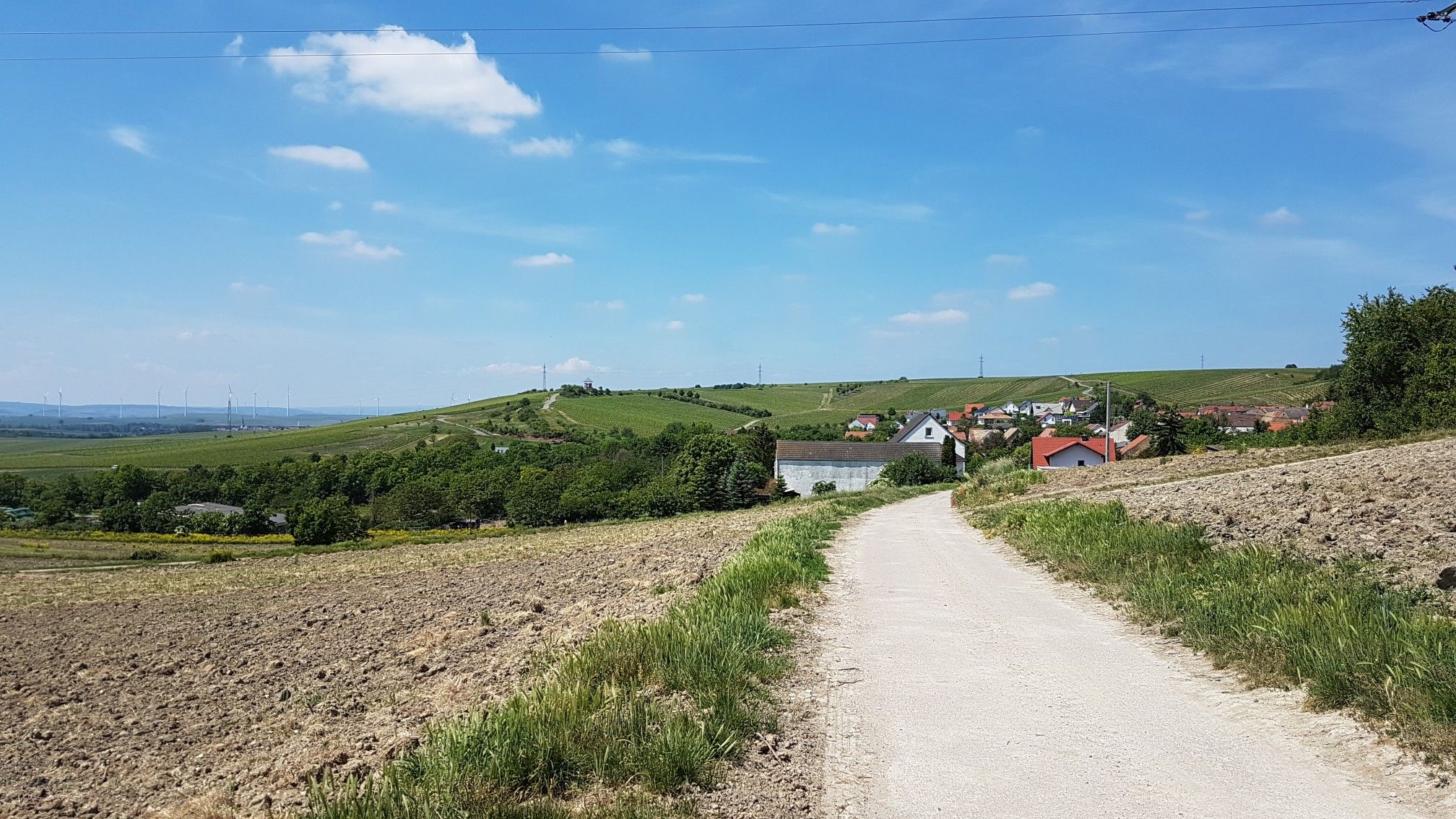 Blick über Ensheim