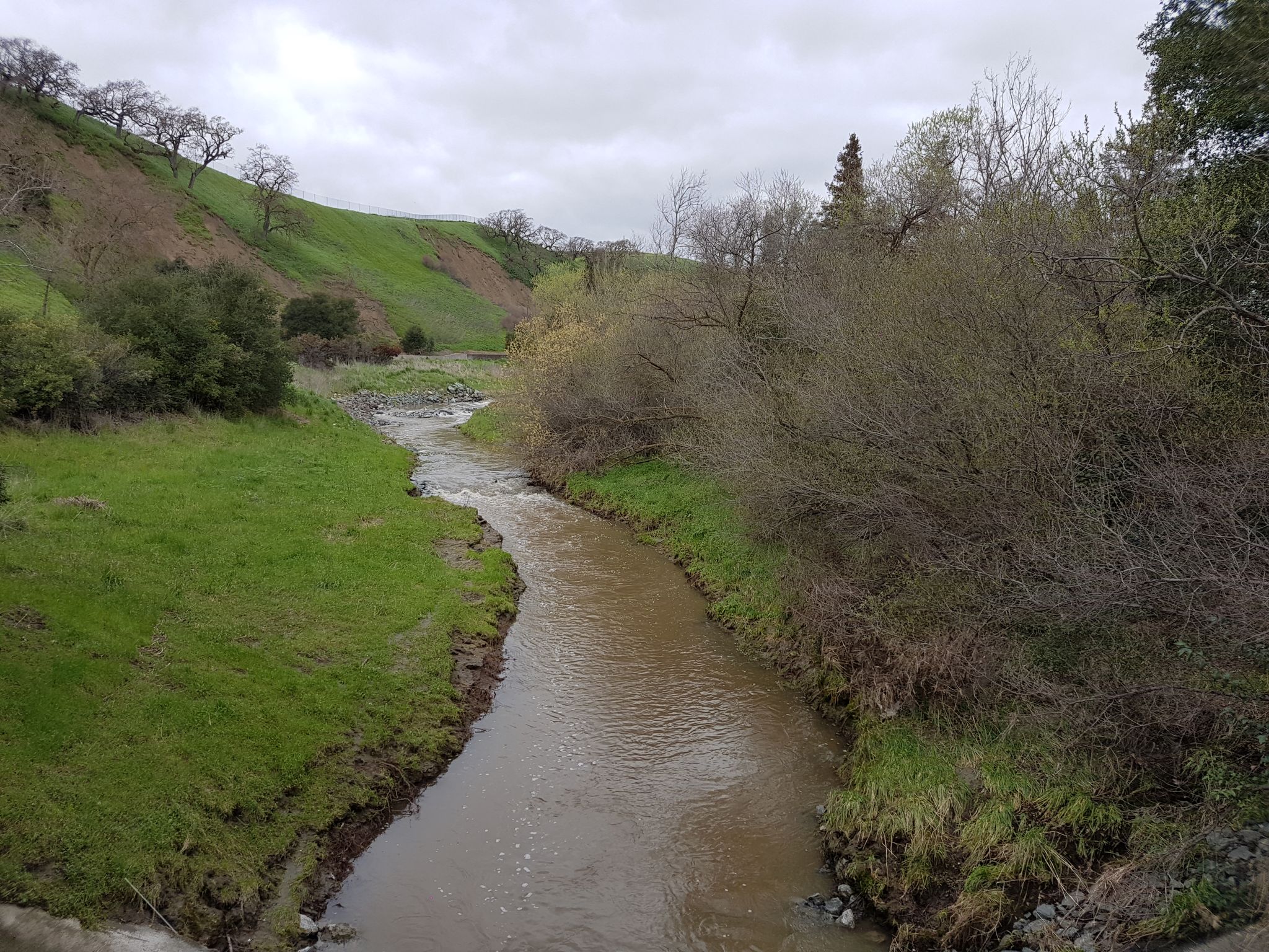 Muddy river winding through green hills under an overcast sky. - Tassajara Ridge and Dougherty Valley Ridge Loop