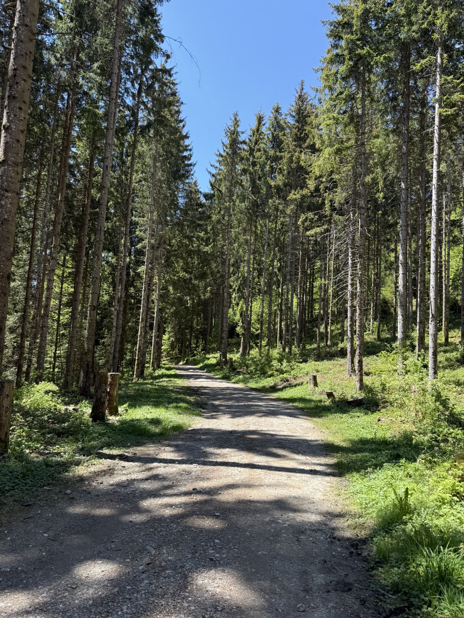 Ein Hauch von Kanada...