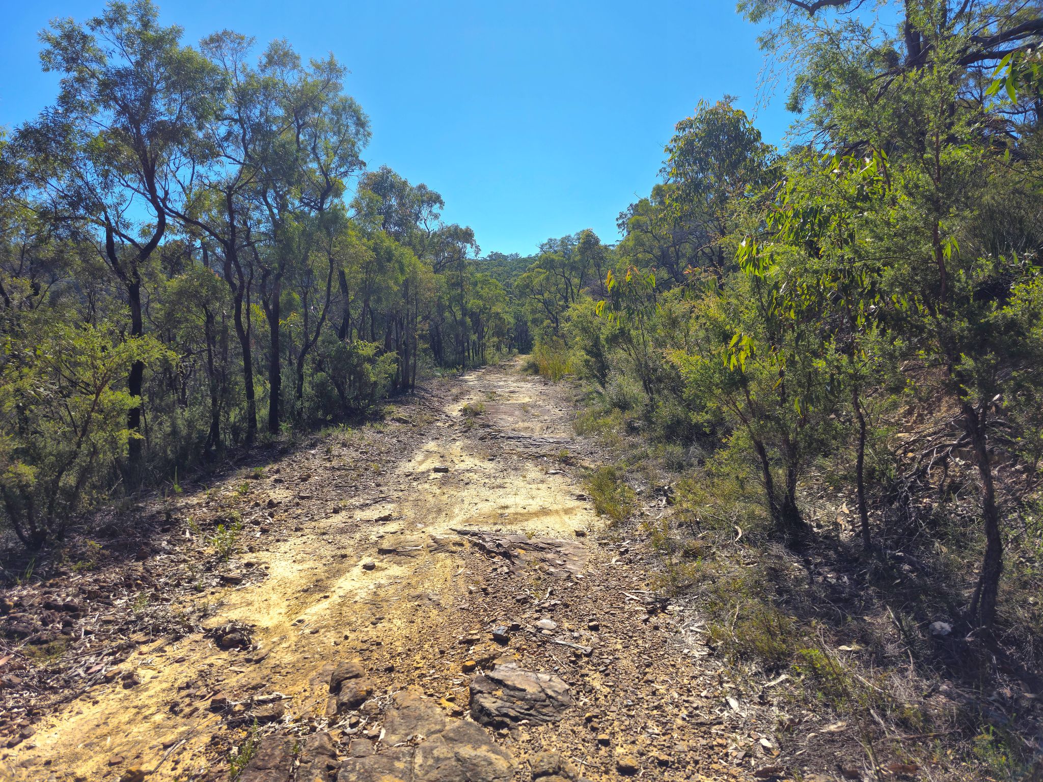 Old Great Nth Road