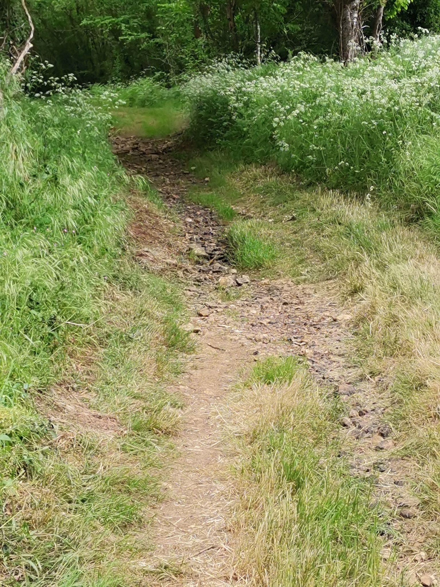 sch. Weg