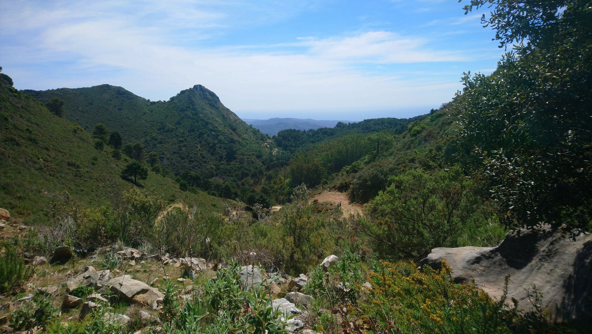 Zwar diesig, aber Blick bis zum Meer